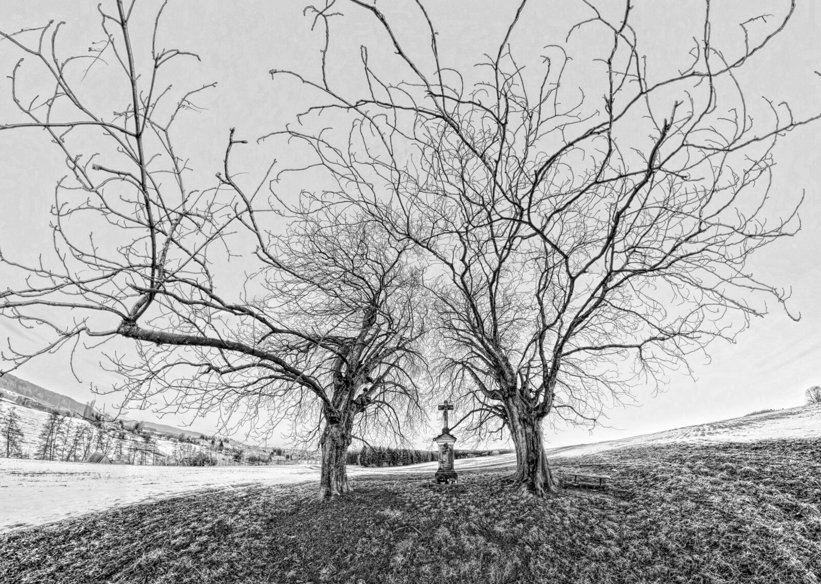 Nikon D5100 sample photo. Tree, winter, nature photography