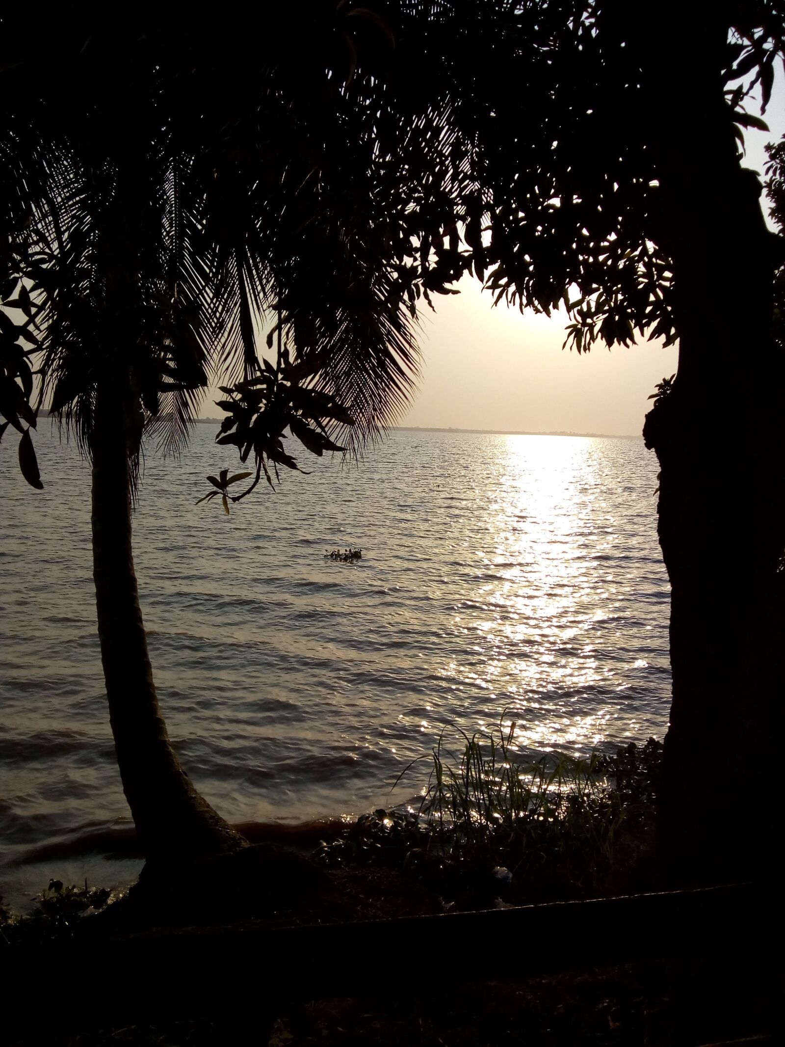 Motorola Moto E4 sample photo. Sea, palm trees, twilight photography
