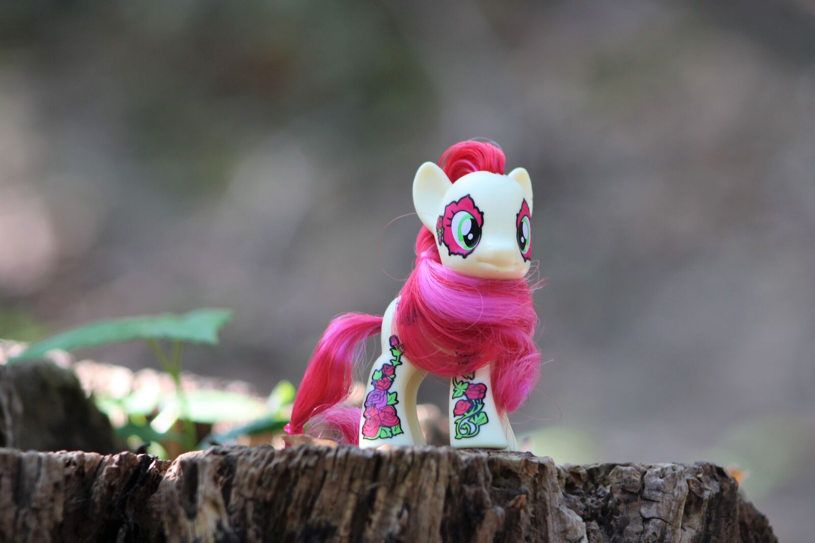 Canon EOS 2000D (EOS Rebel T7 / EOS Kiss X90 / EOS 1500D) sample photo. Toys, pony, my little photography