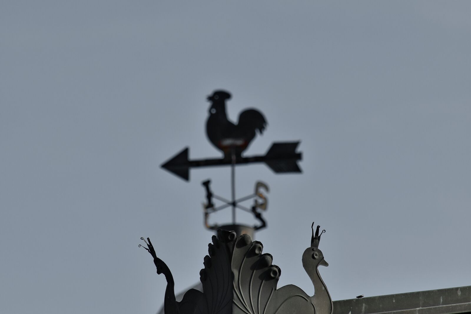 Nikon D5500 sample photo. Decoration, handmade, iron, metal photography
