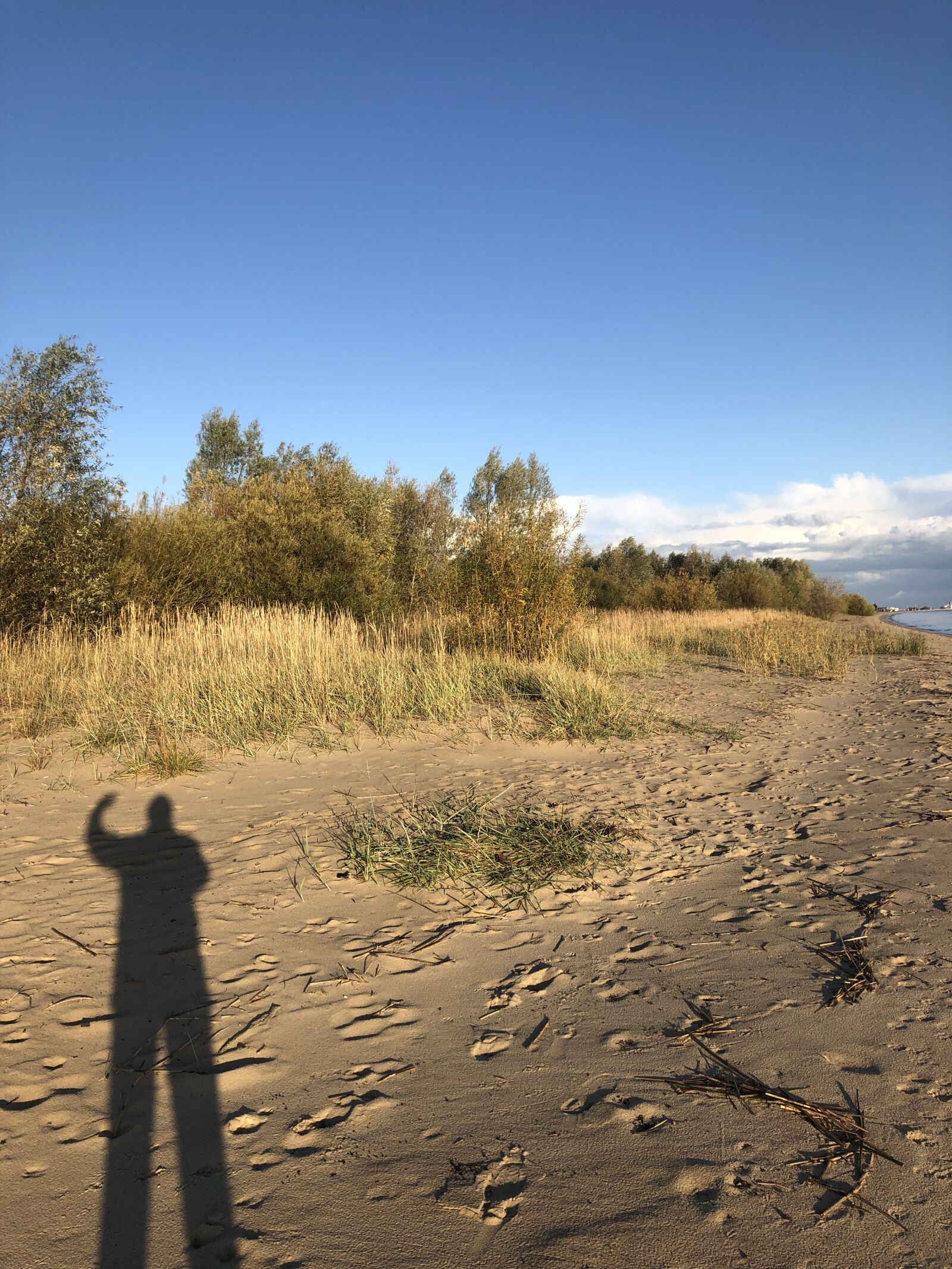 Apple iPhone X sample photo. Cabbage sand, shadow, beach photography