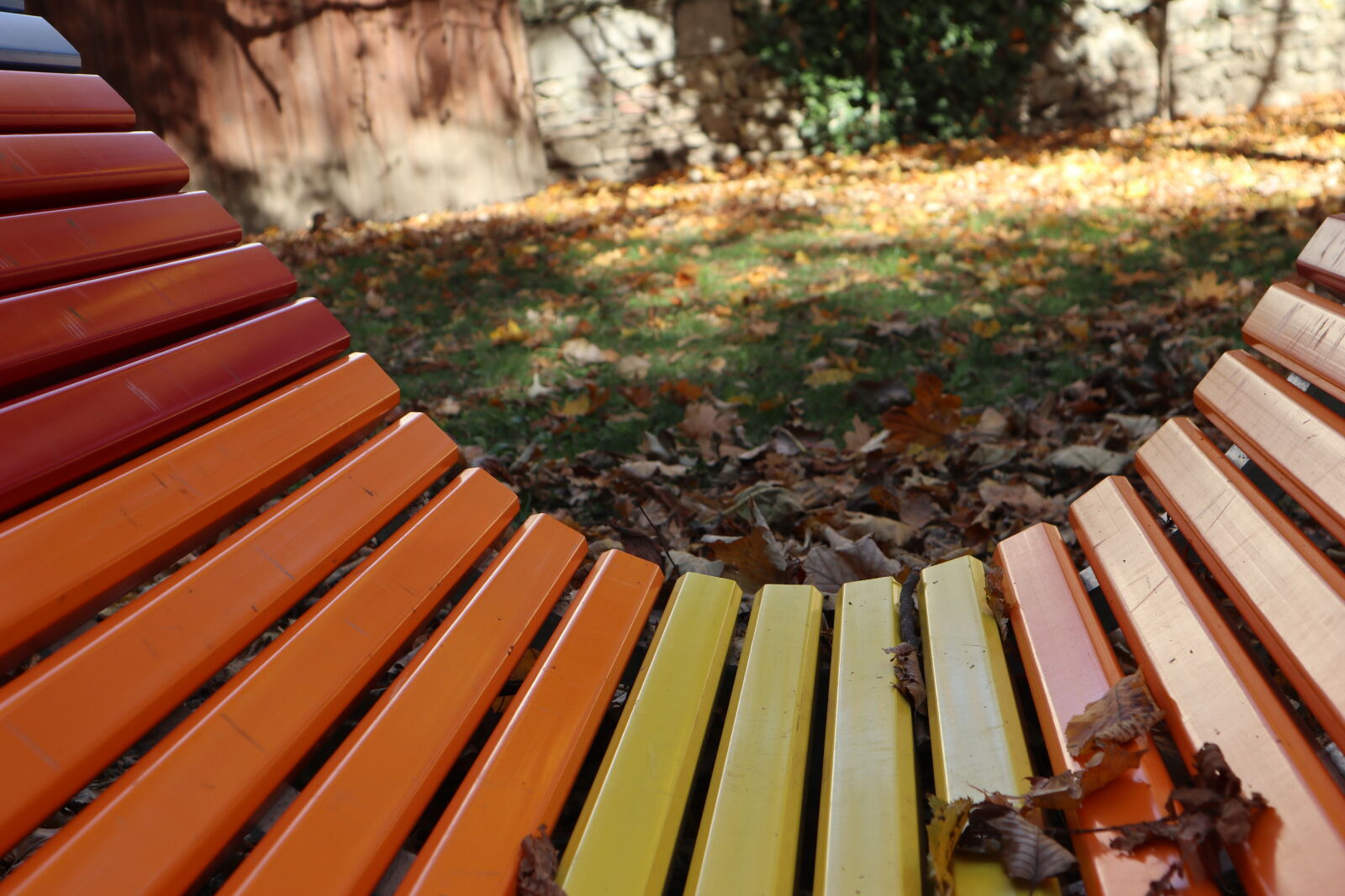 Canon EOS M6 sample photo. Bench, color, colorful, colors photography