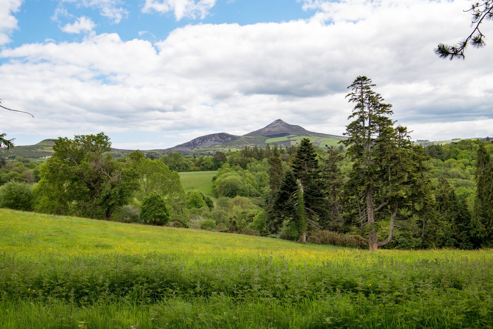 Canon EF 24-105mm F3.5-5.6 IS STM sample photo. Ireland, wicklow, nature photography