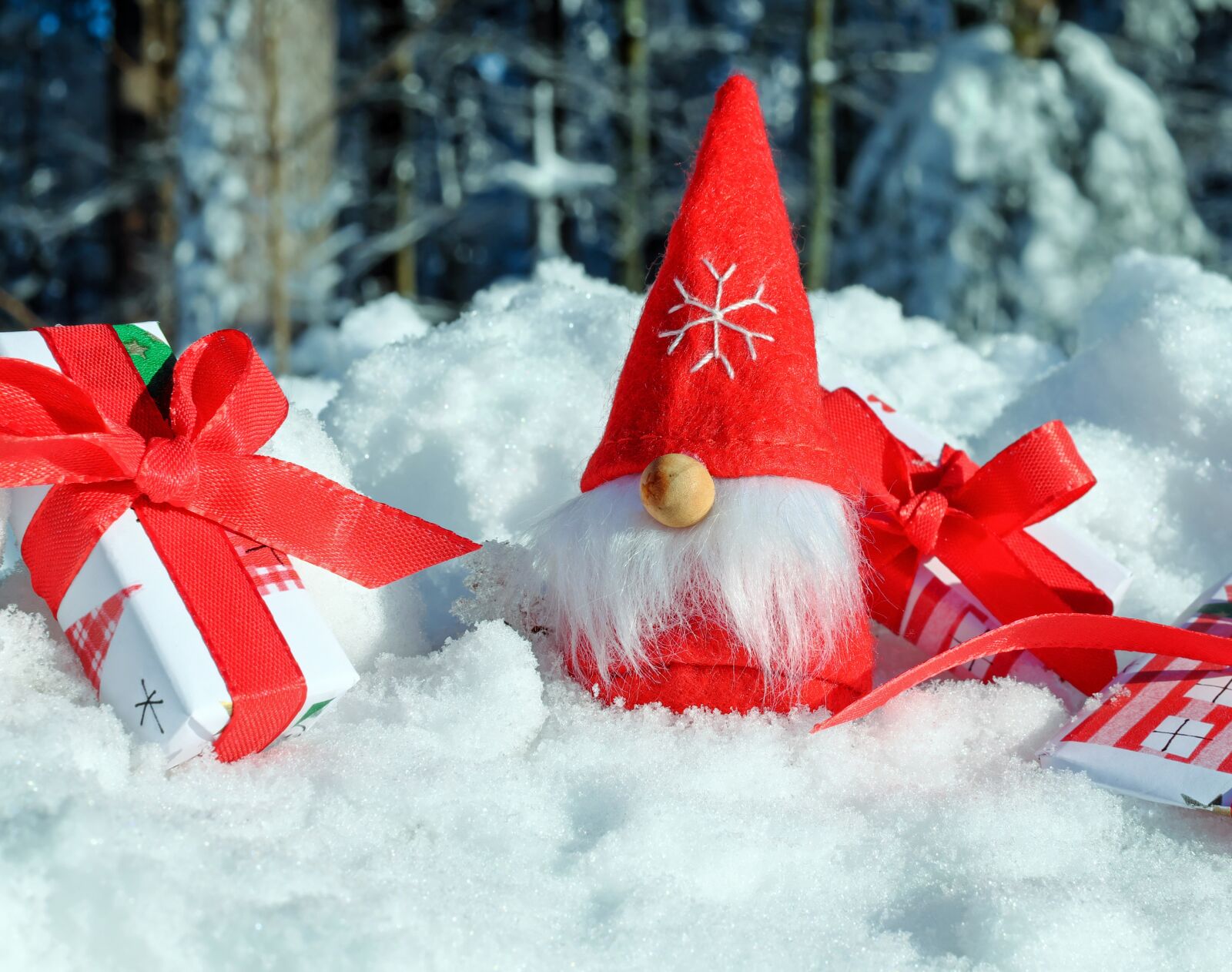 Fujifilm X-T10 + Fujifilm XF 35mm F1.4 R sample photo. Santa claus, christmas motif photography