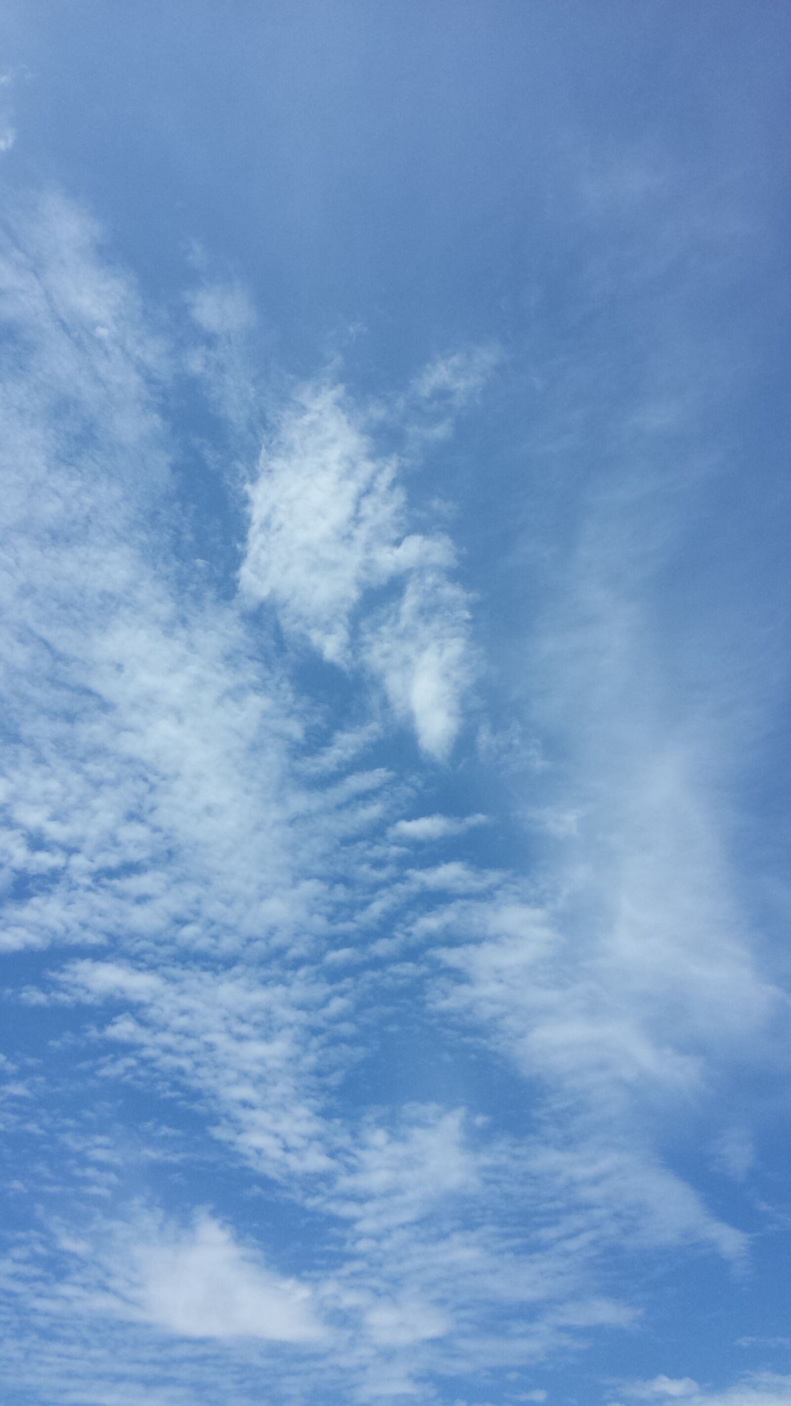 Samsung Galaxy S4 sample photo