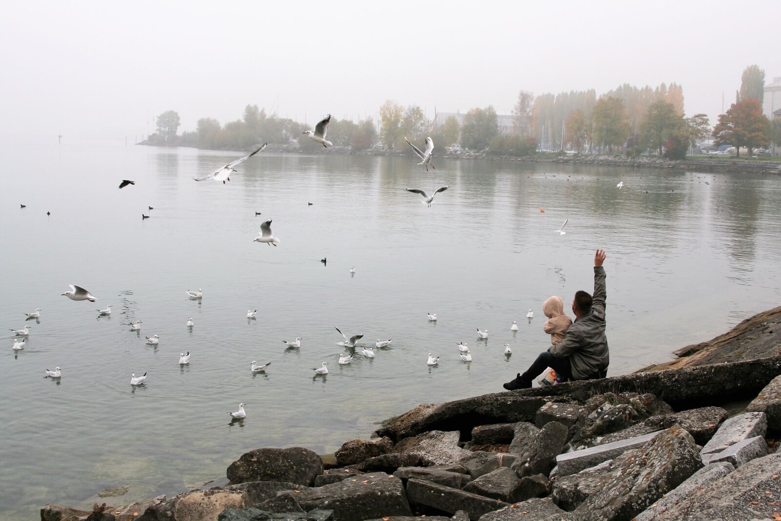 Canon EOS 400D (EOS Digital Rebel XTi / EOS Kiss Digital X) sample photo. Lake, autumn, morning photography