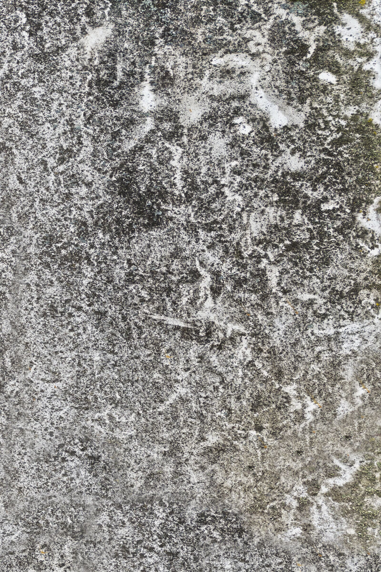 Panasonic Lumix DMC-FZ1000 sample photo. Surface, structure, texture photography