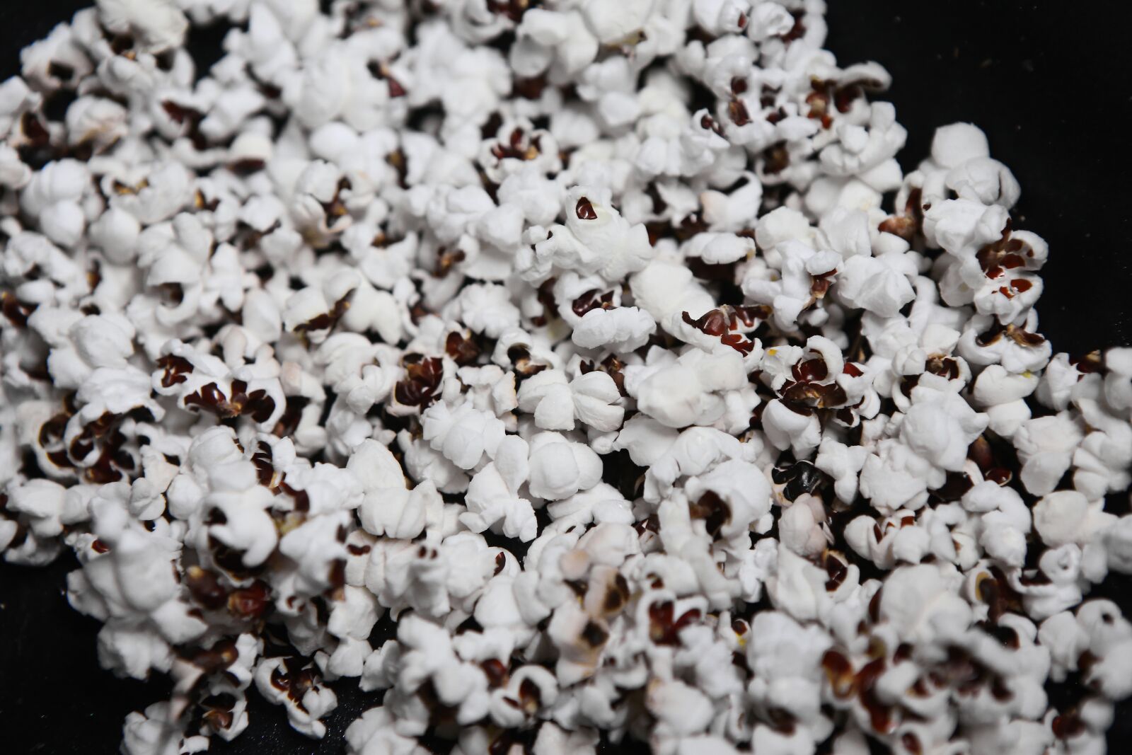 Canon EOS 6D + Canon EF 24-70mm F2.8L USM sample photo. Popcorn, corn, native photography