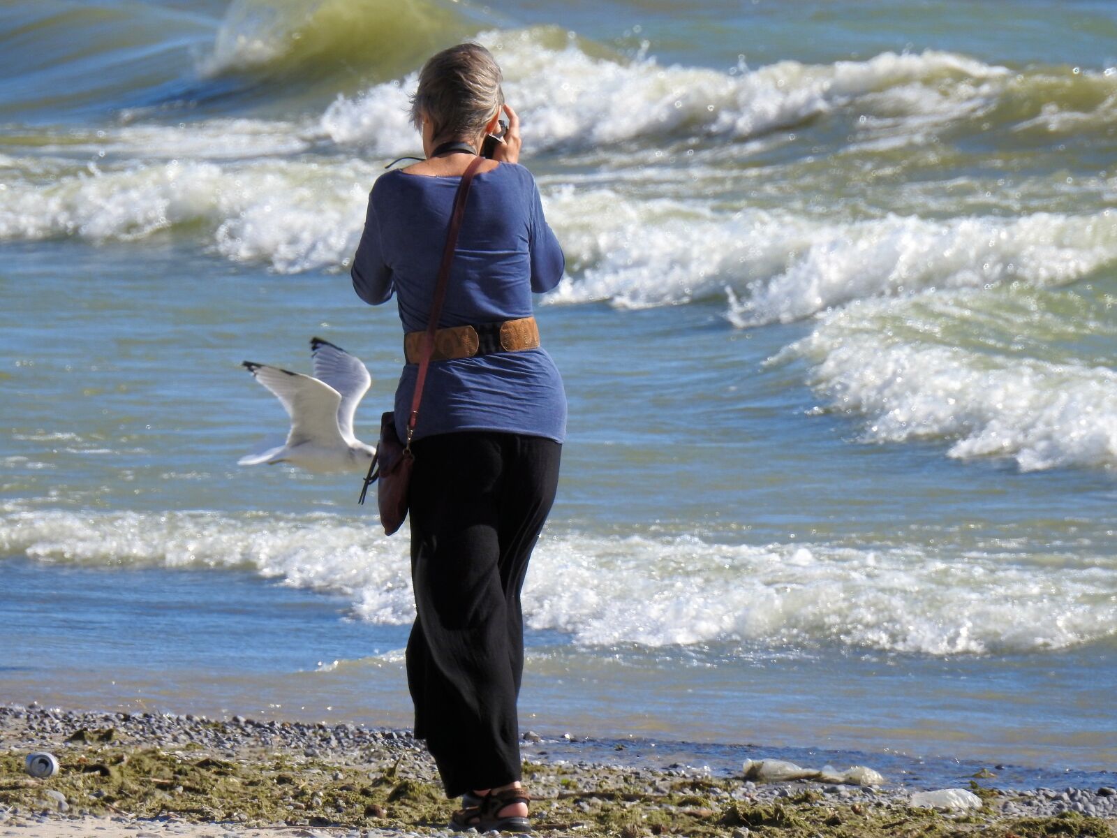 Nikon Coolpix P900 sample photo. Photographer, waves, seagull photography