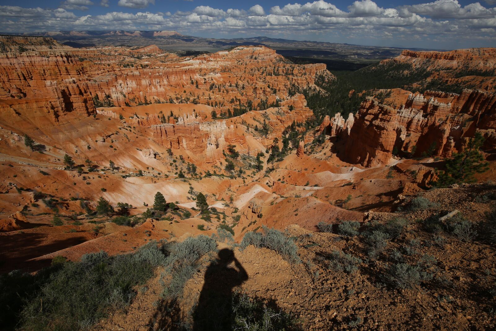 Canon EF 16-35mm F4L IS USM sample photo. Bryce canyon, united states photography