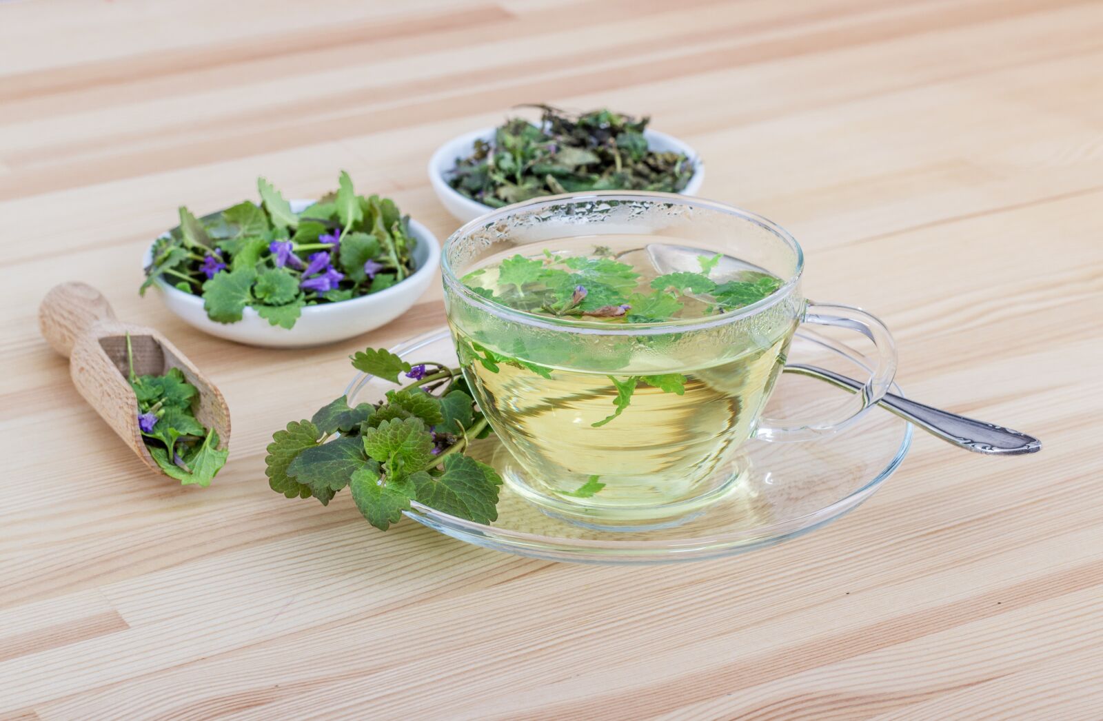 Canon EOS 600D (Rebel EOS T3i / EOS Kiss X5) + Canon EF 50mm F1.8 II sample photo. Tee, herbs, herbal tea photography