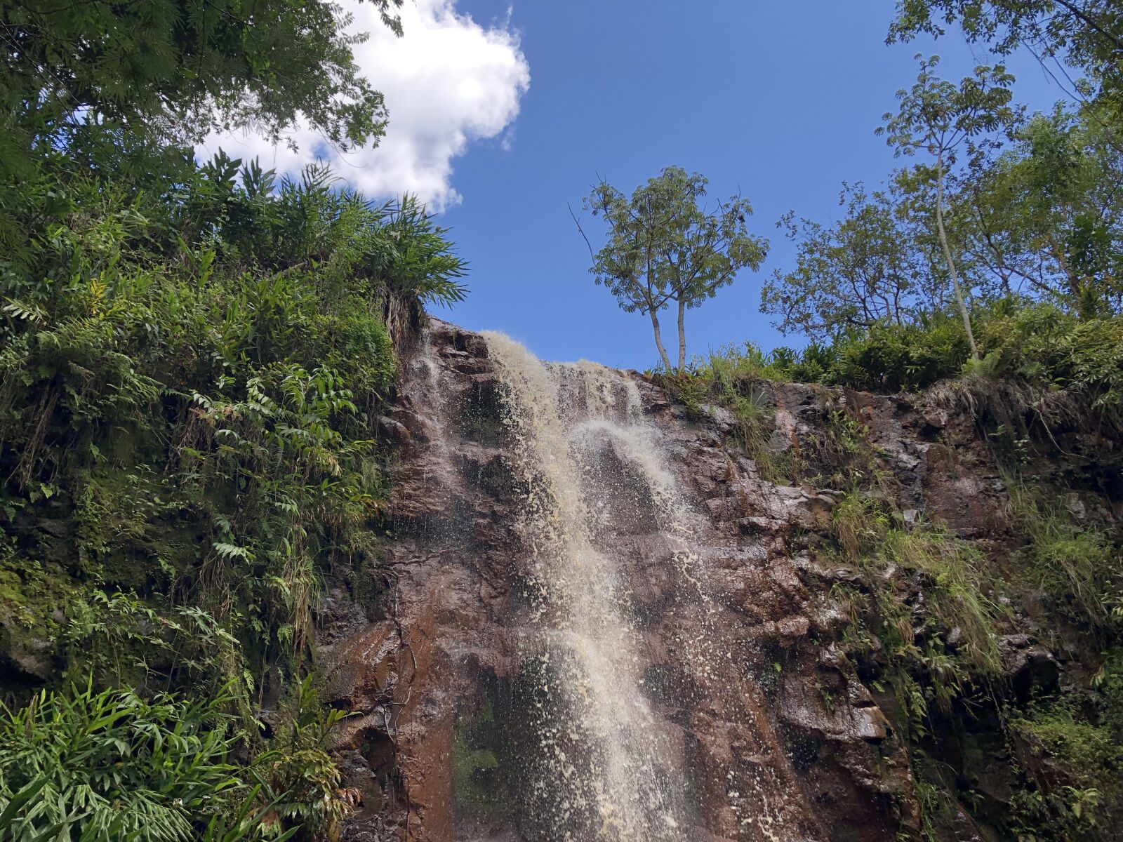 Apple iPhone 8 sample photo. Waterfalls park, buds, waterfall photography