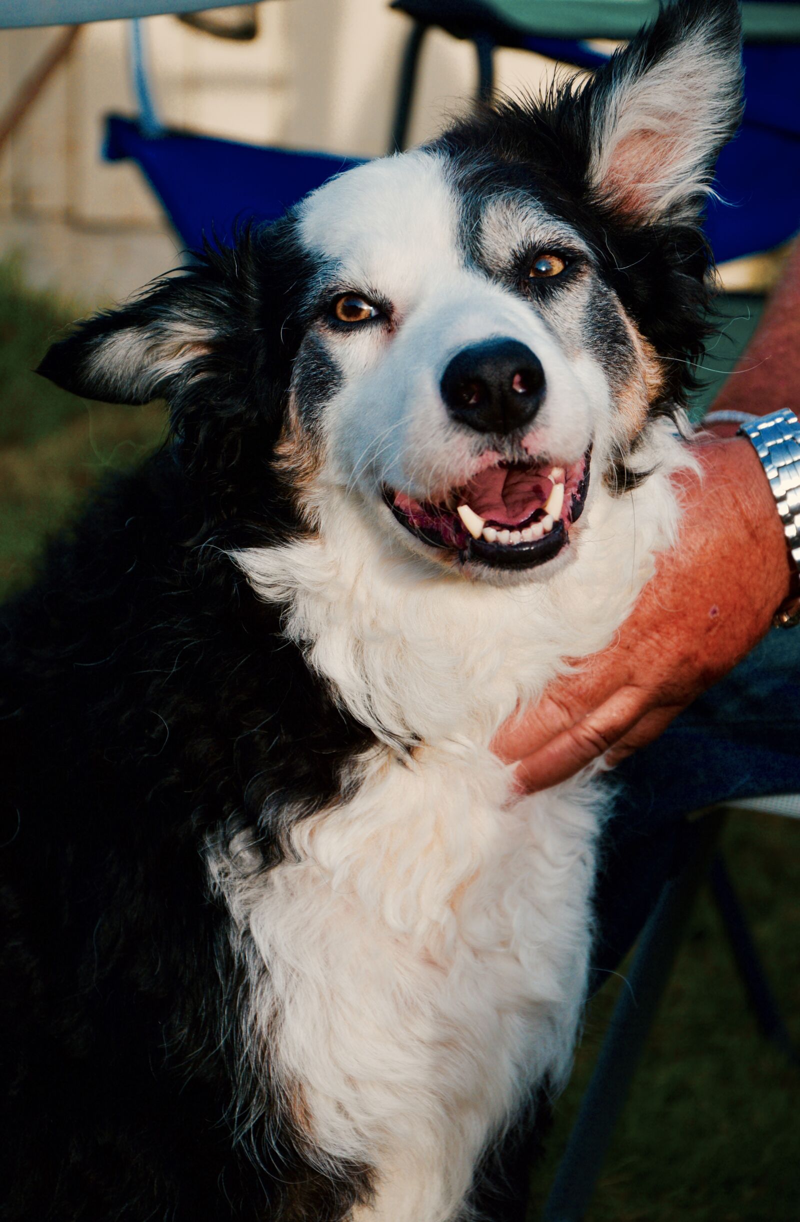 Nikon D3200 sample photo