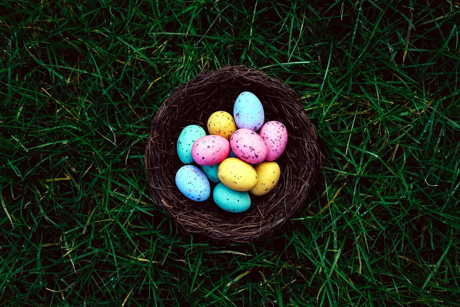Fujifilm X-T1 sample photo. Colored easter eggs, nest photography
