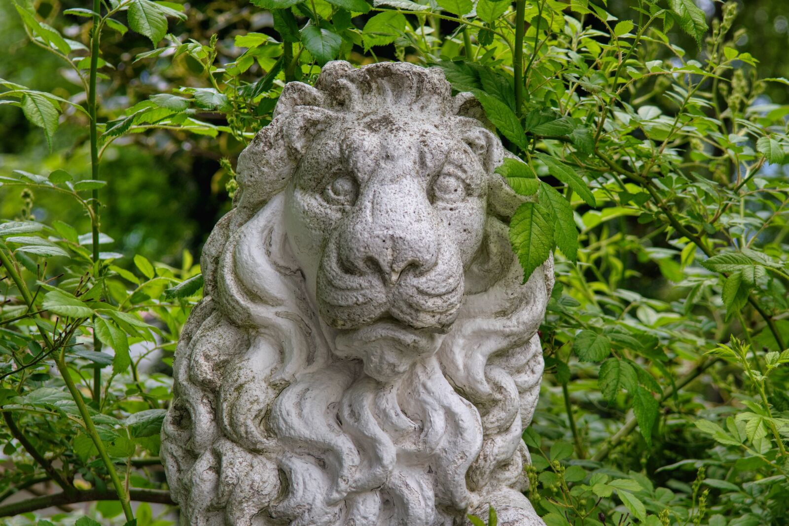 Nikon D7500 sample photo. Statue, figure, lion photography