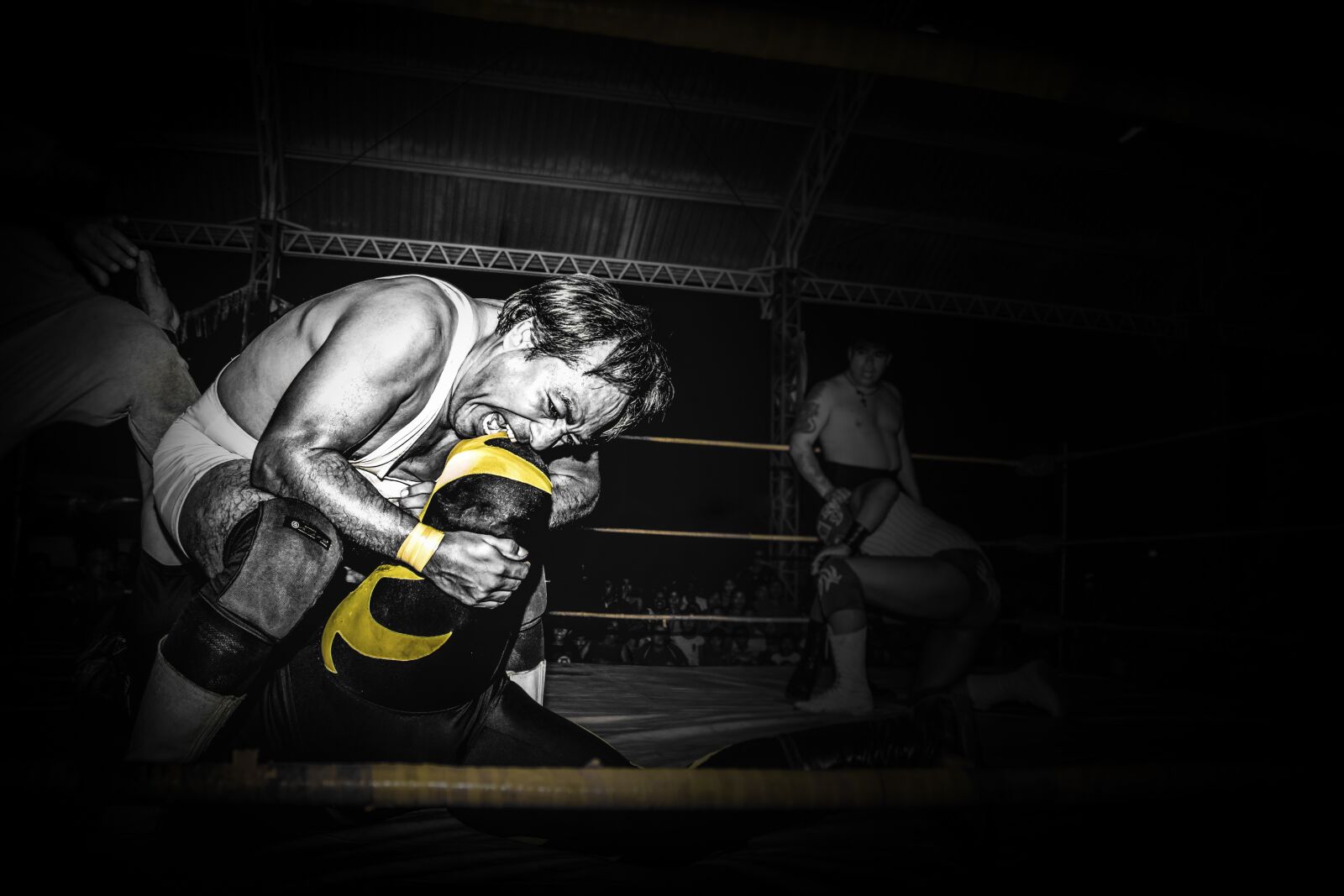 Canon EOS 1300D (EOS Rebel T6 / EOS Kiss X80) sample photo. Fight, free, sport photography