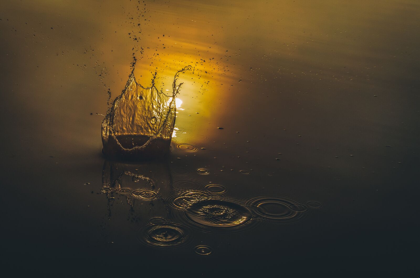 Canon EOS 6D + Canon EF 17-40mm F4L USM sample photo. Water, sunshine, lake photography