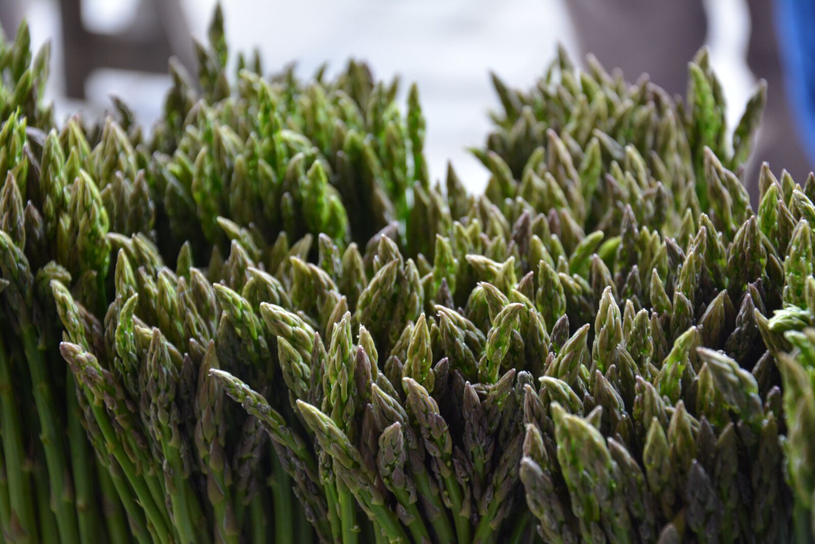 Nikon D7100 sample photo. Asparagus, vegetables, food photography