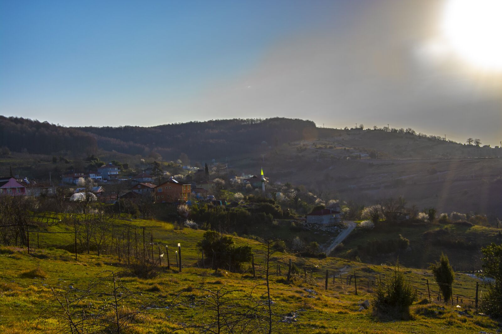 Nikon D5200 sample photo. Rural, nature, country photography