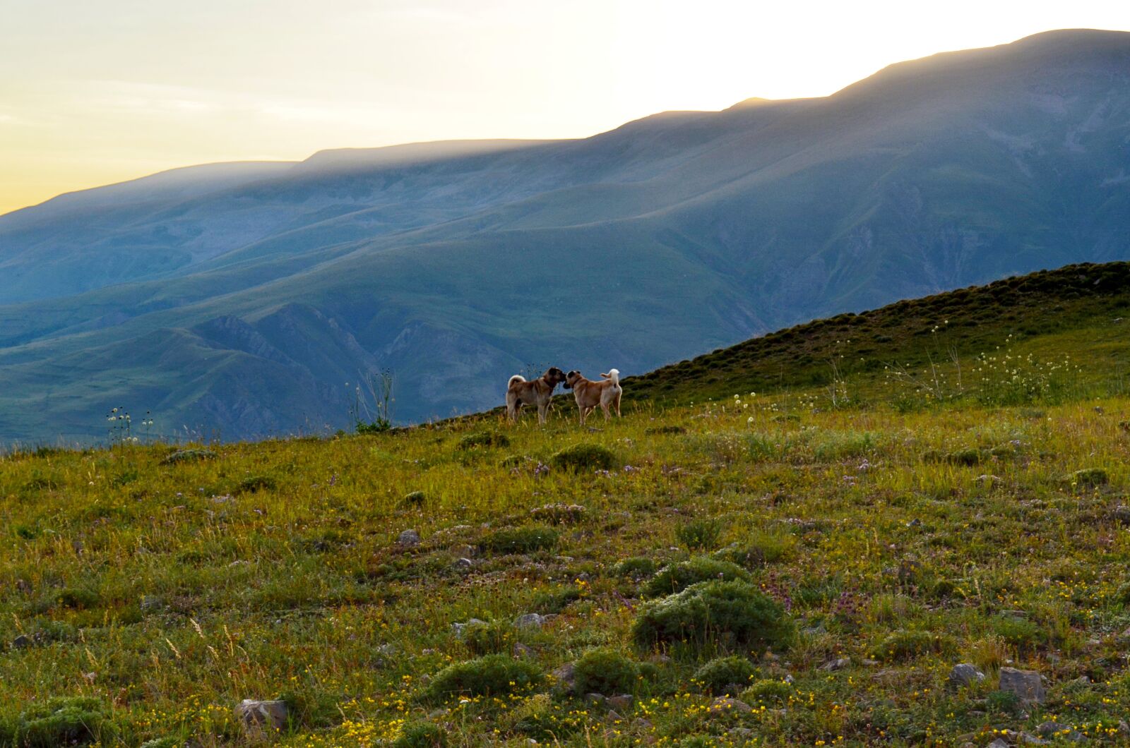 Nikon D5100 sample photo. Landscape, mountain, clouds photography