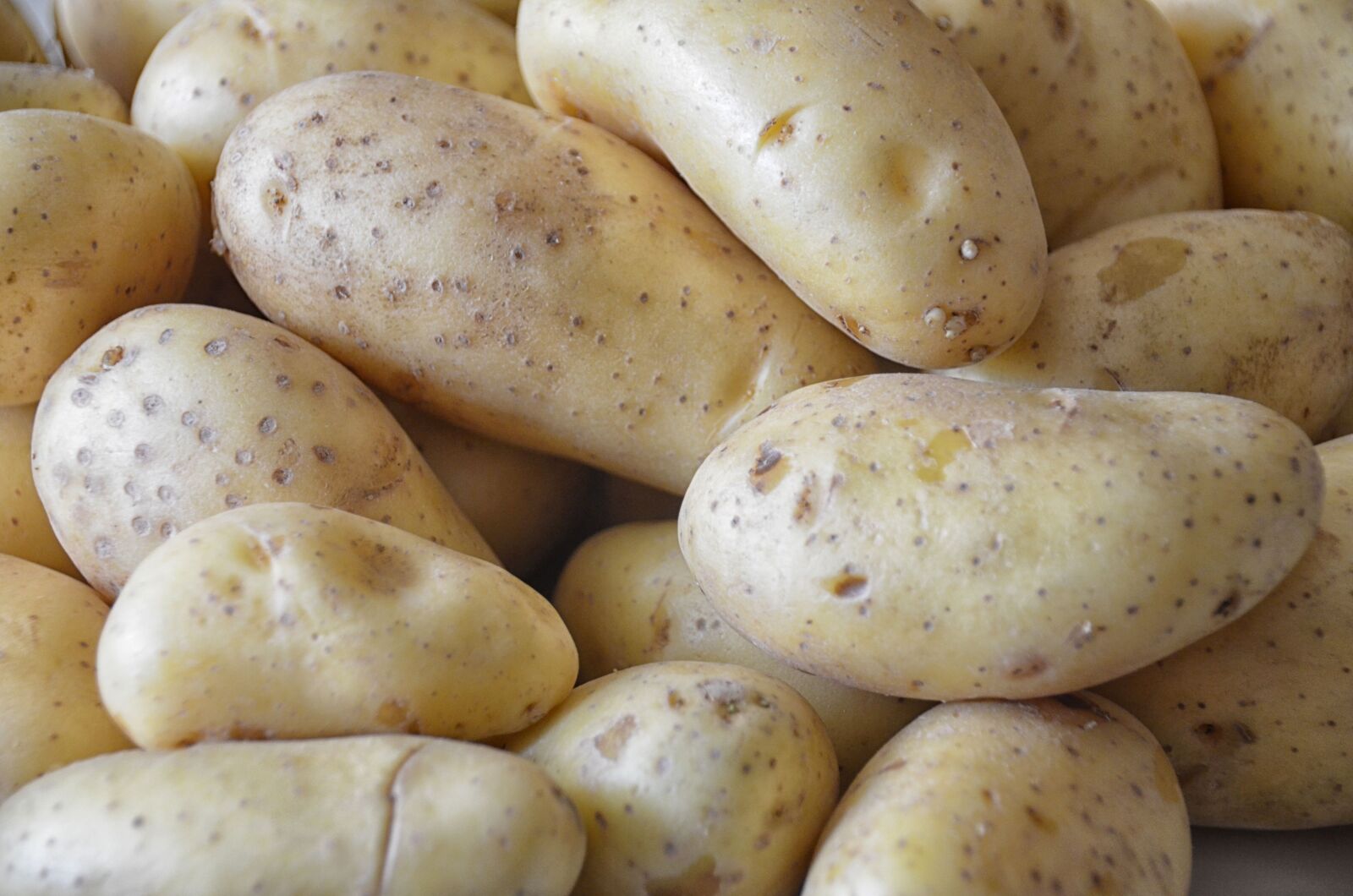 Nikon D5100 sample photo. Potatoes, vegetables, food photography