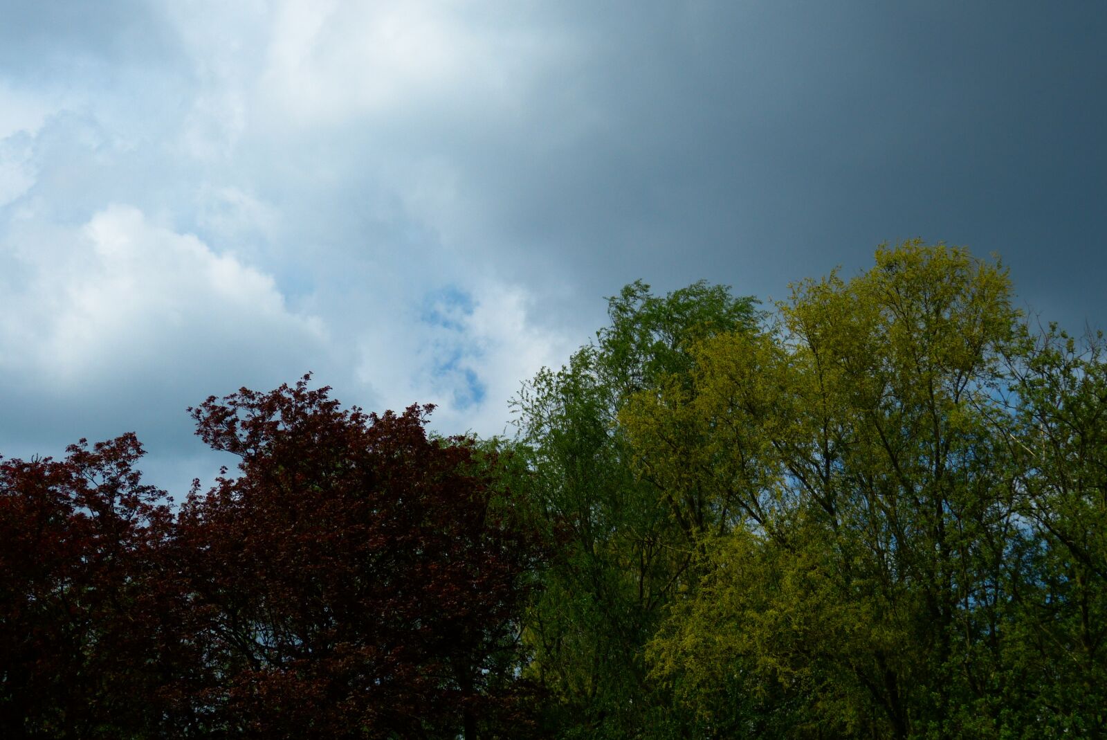 Panasonic Lumix DMC-FZ150 sample photo. Autumn, trees, colorful photography