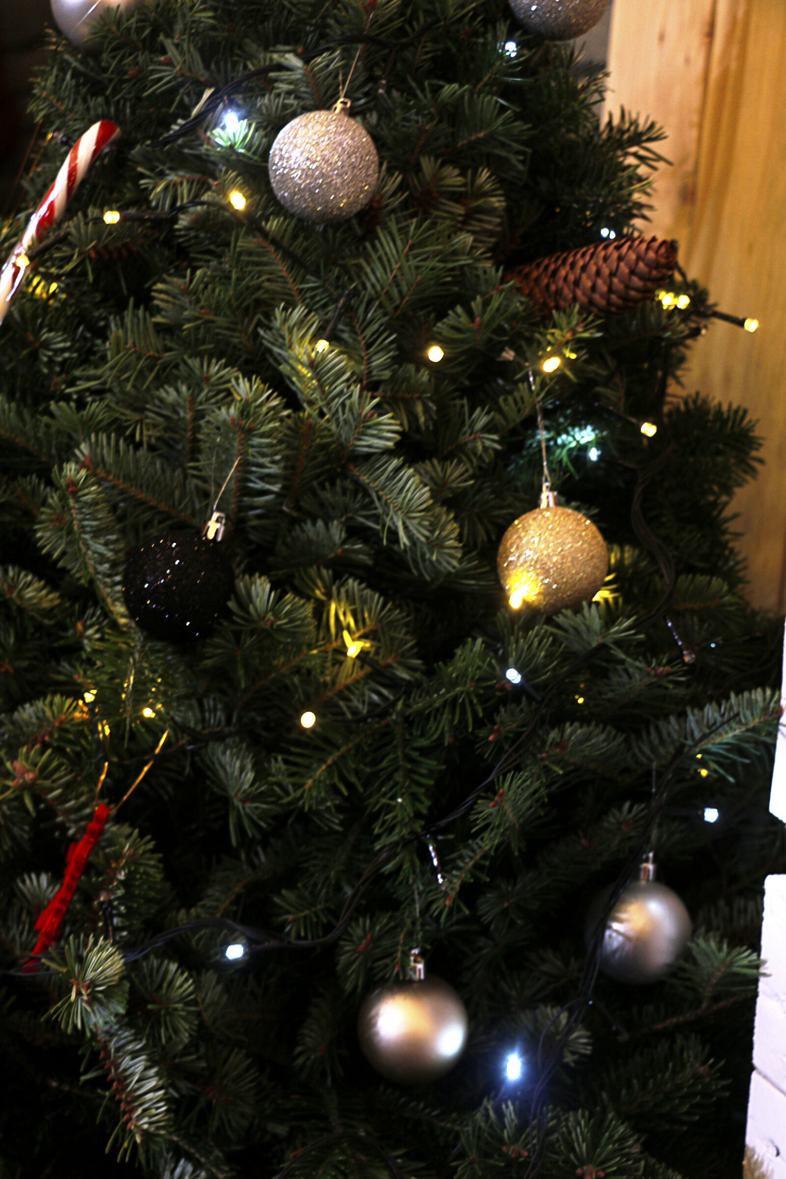 Canon EOS 700D (EOS Rebel T5i / EOS Kiss X7i) sample photo. Atmosphere, christmas, christmas, decor photography
