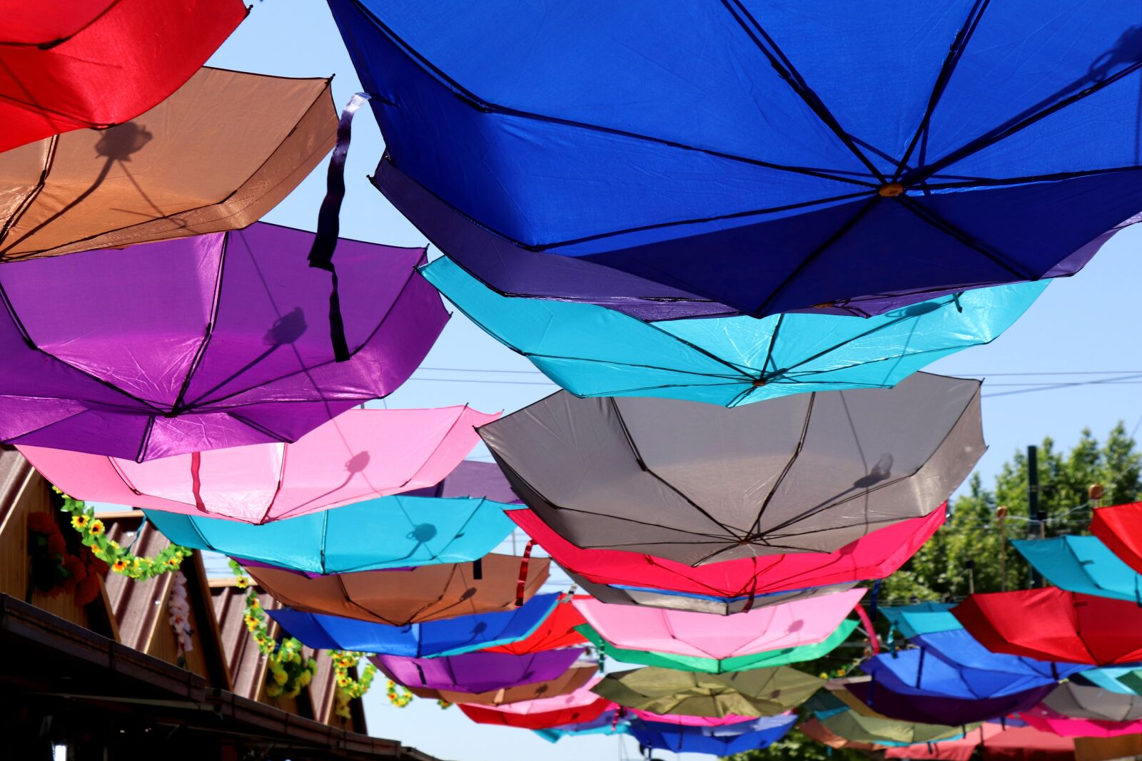 Canon EOS 200D (EOS Rebel SL2 / EOS Kiss X9) sample photo. Screen, colorful, cheerful photography