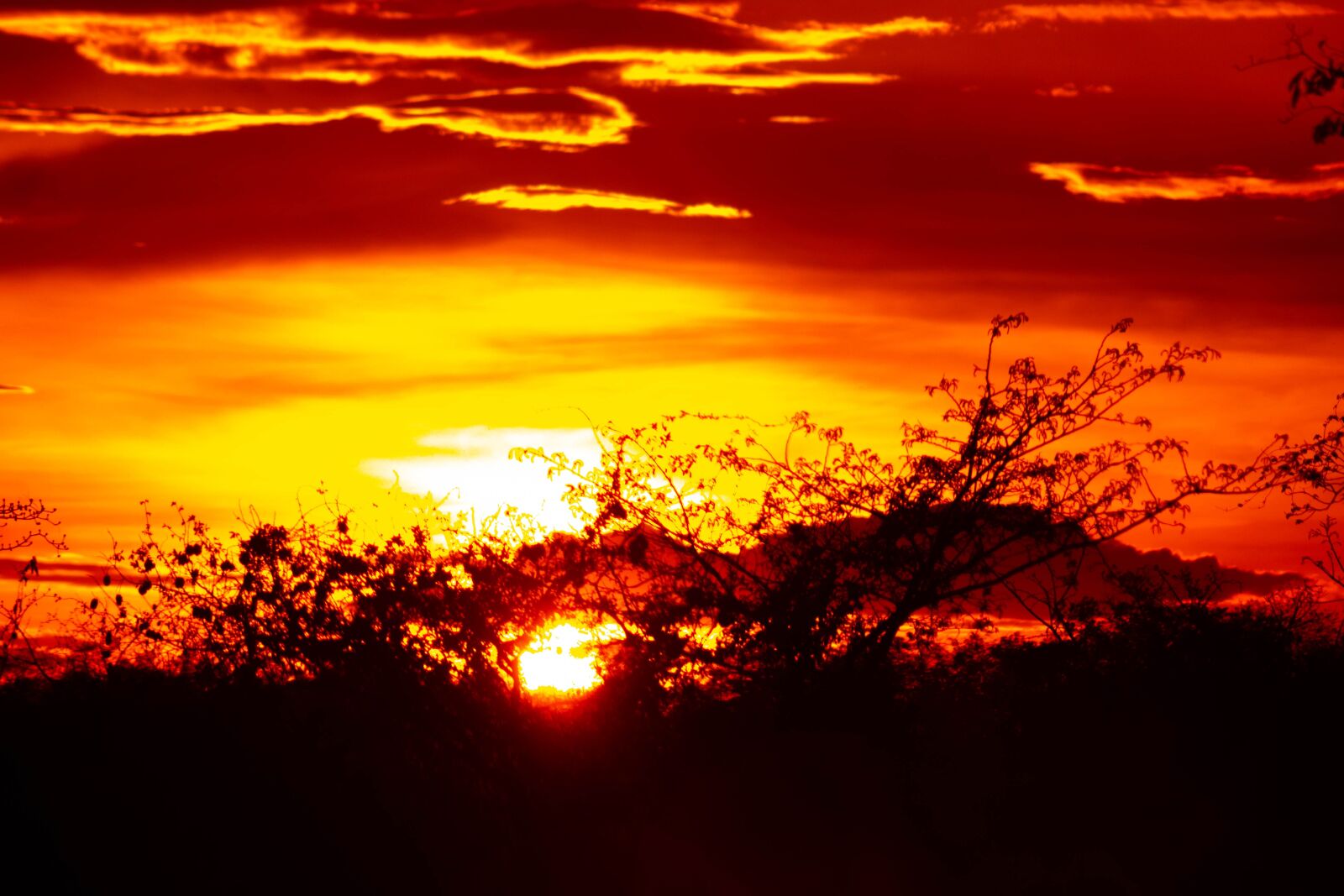 Canon EF75-300mm f/4-5.6 sample photo. Sunset, evening, tree photography