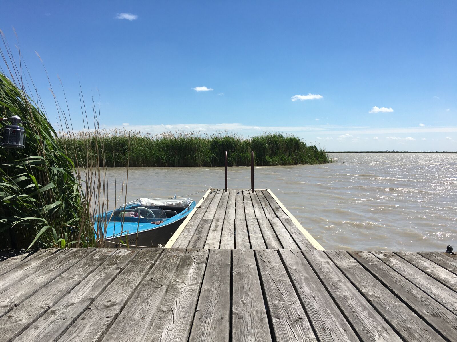 iPhone 6s back camera 4.15mm f/2.2 sample photo. Lake, web, beach photography