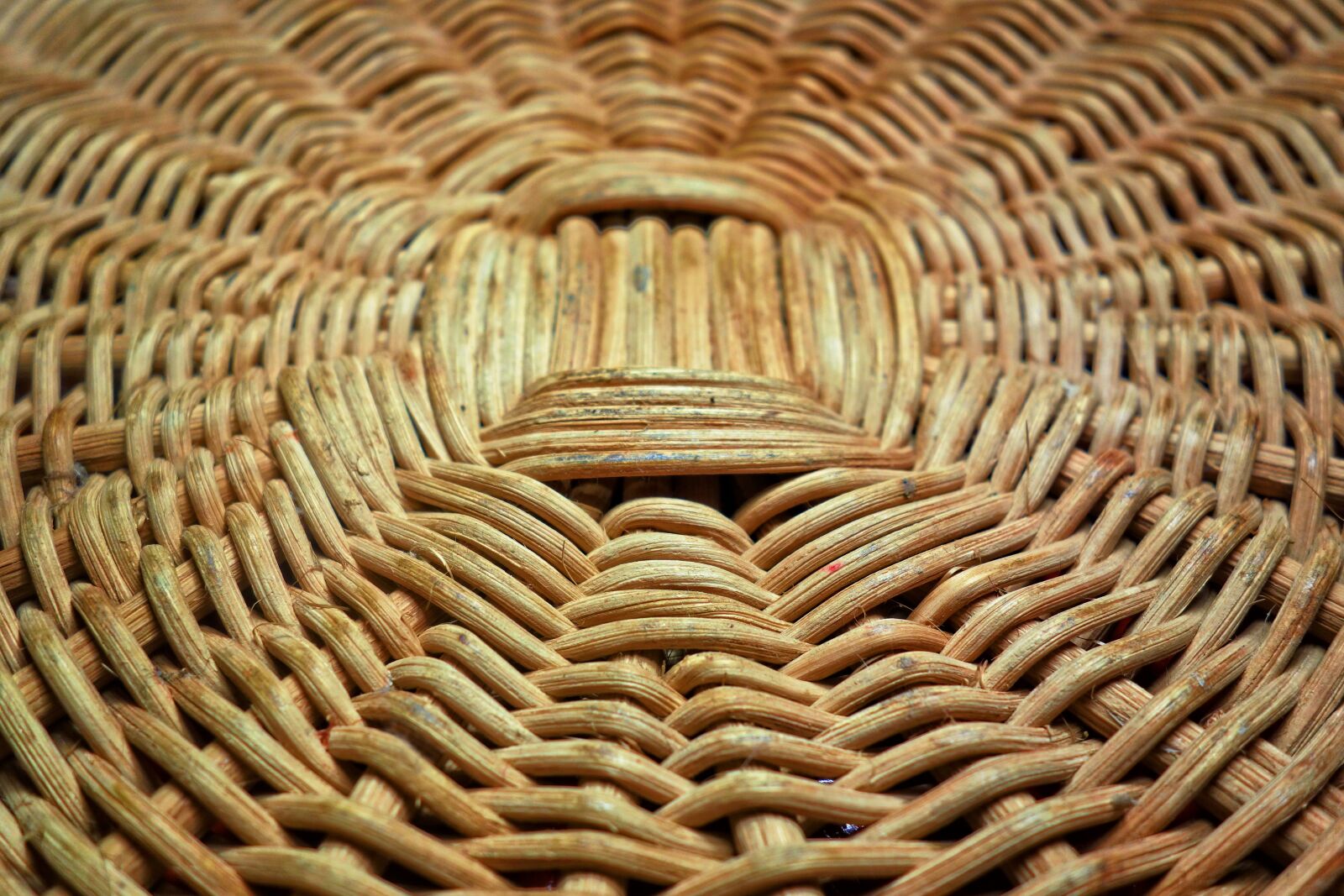 Sony Cyber-shot DSC-RX100 sample photo. Reed, basket, basket weaving photography
