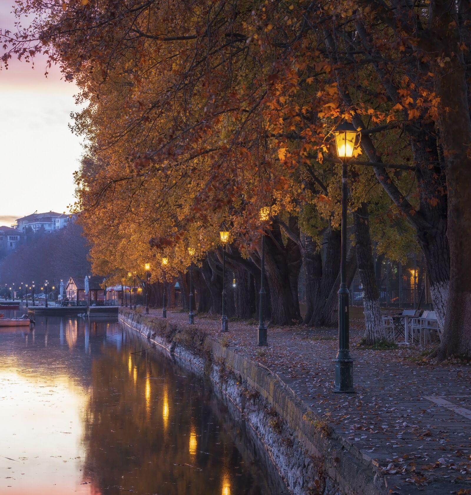 Nikon D750 sample photo. Lights, lake, park photography
