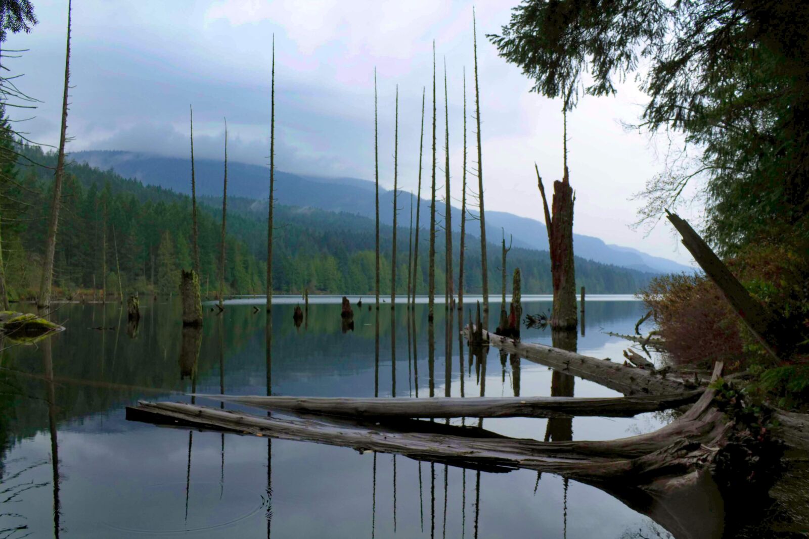 Canon EOS 1100D (EOS Rebel T3 / EOS Kiss X50) sample photo. Lake, trees, nature photography