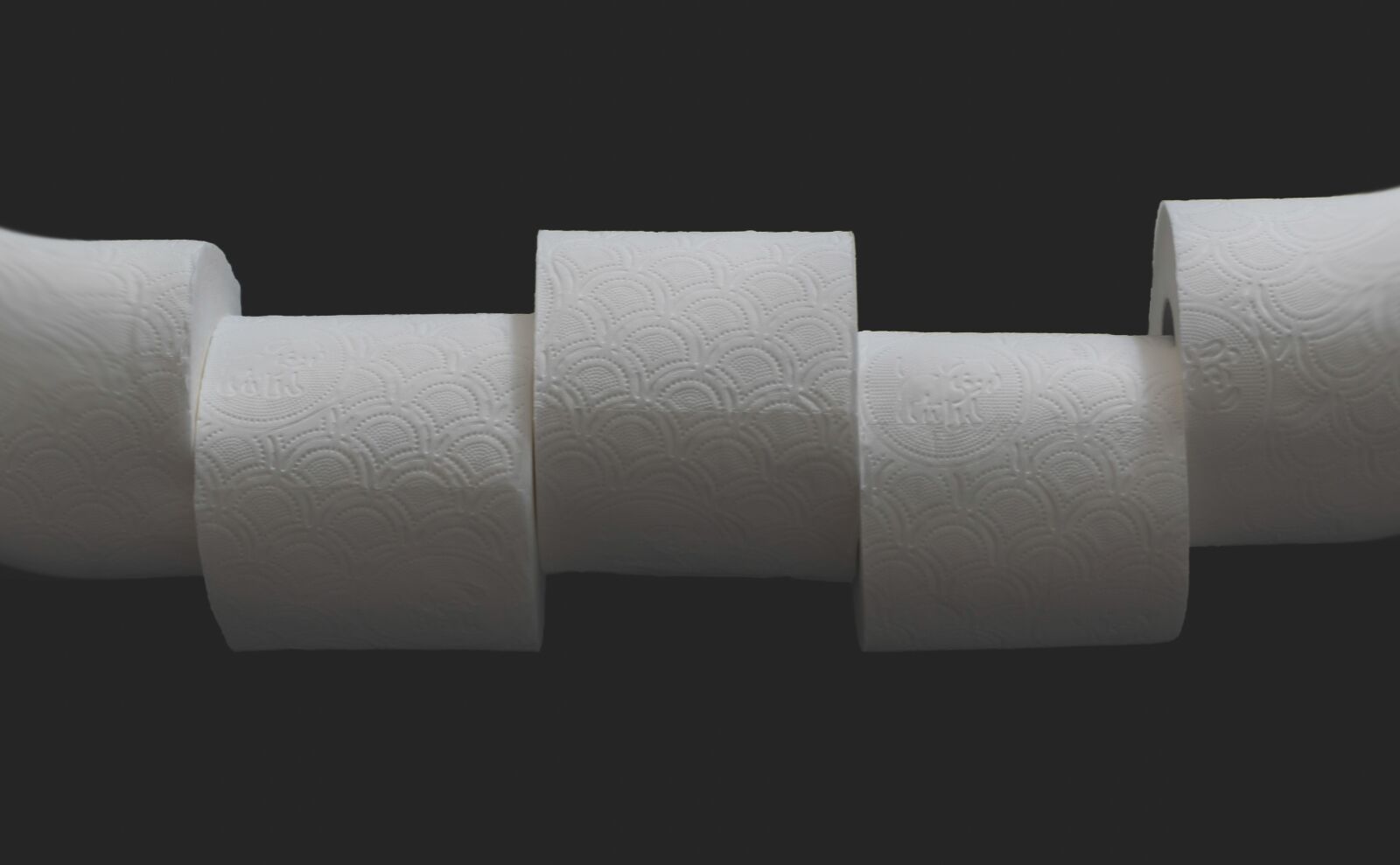 Nikon D5600 sample photo. Toilet paper, paper, coronavirus photography
