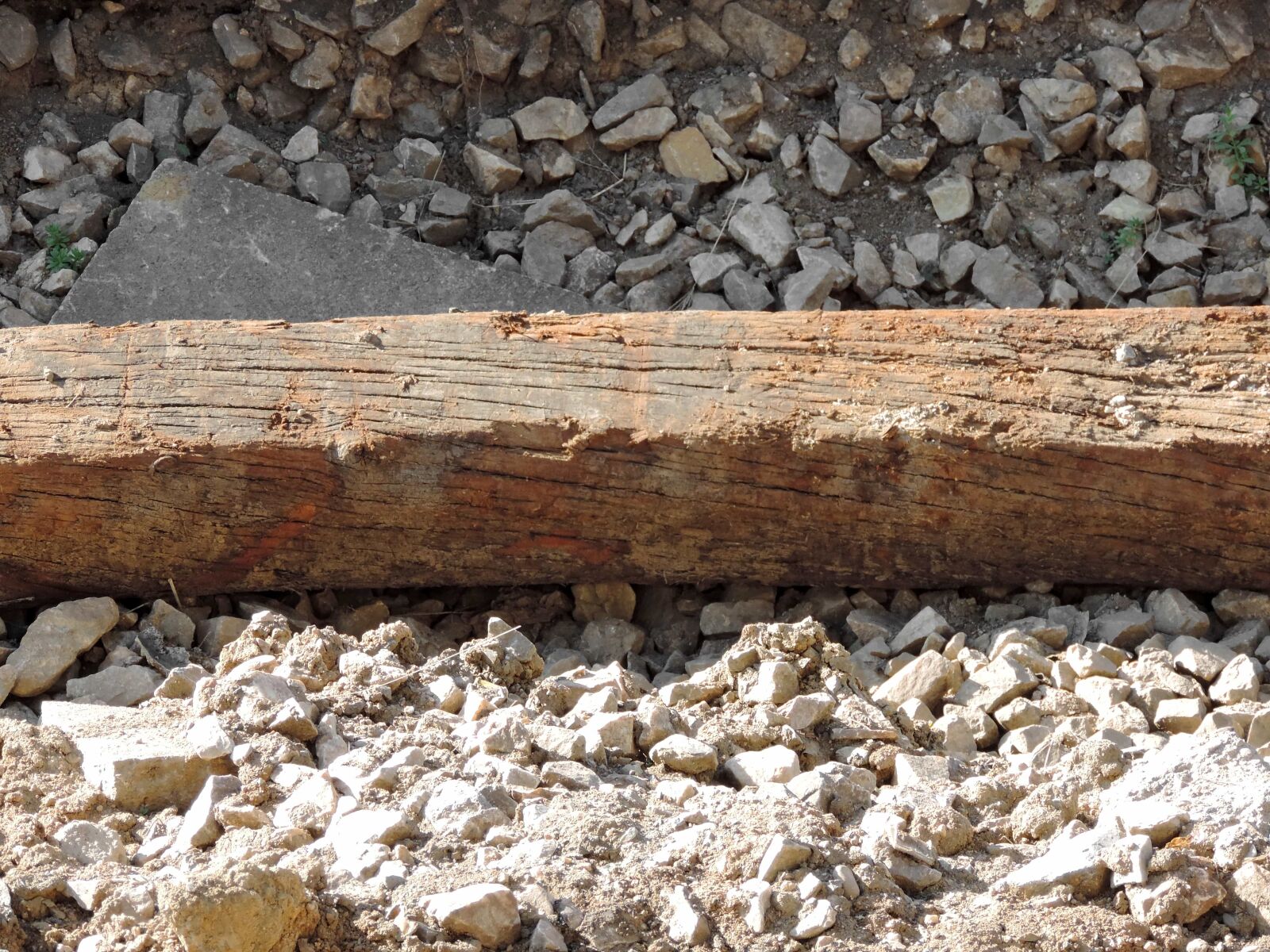 Nikon Coolpix P520 sample photo. Firewood, ground, wood, old photography