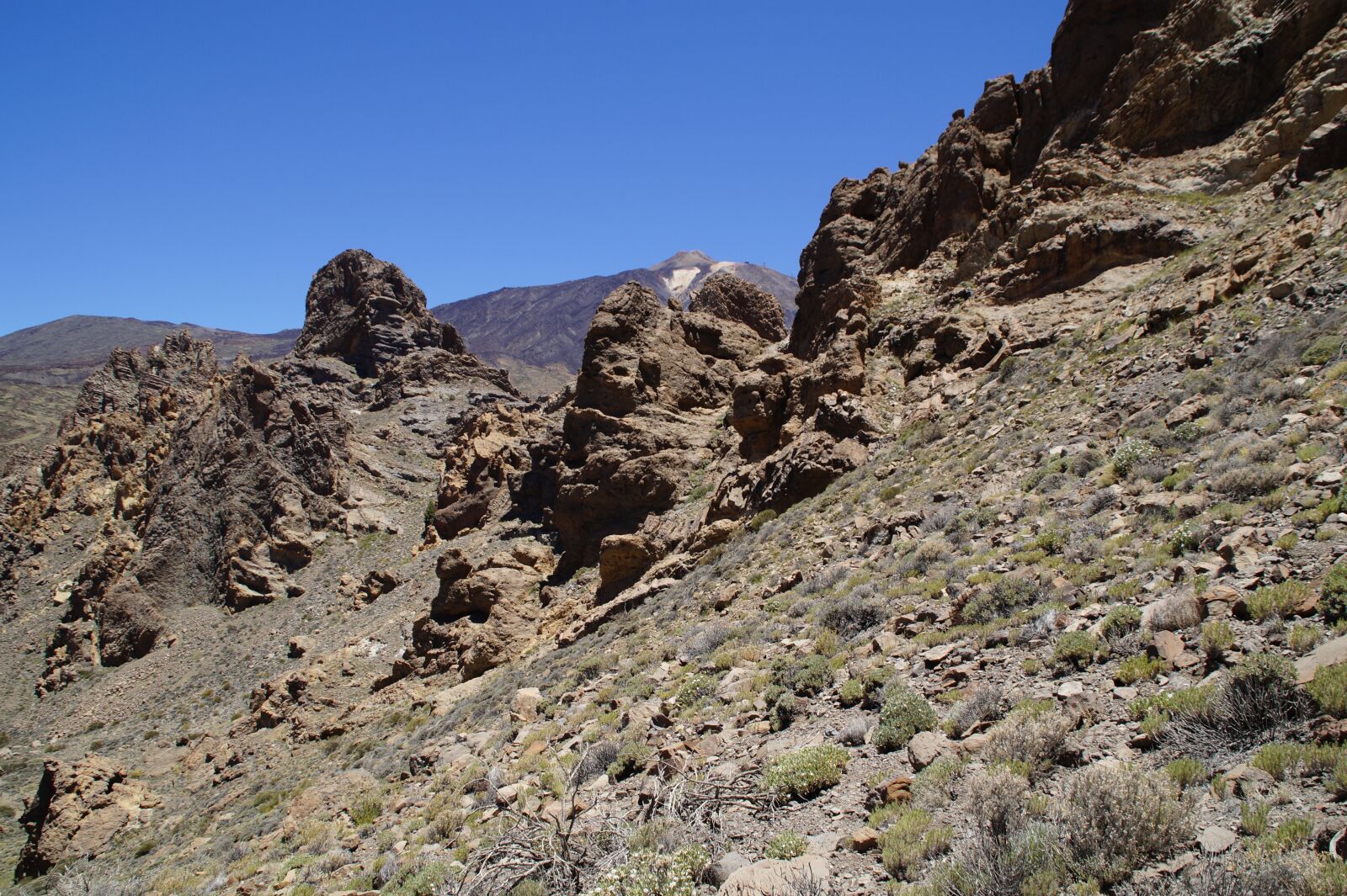 Sony SLT-A58 sample photo. Teide national park, national photography