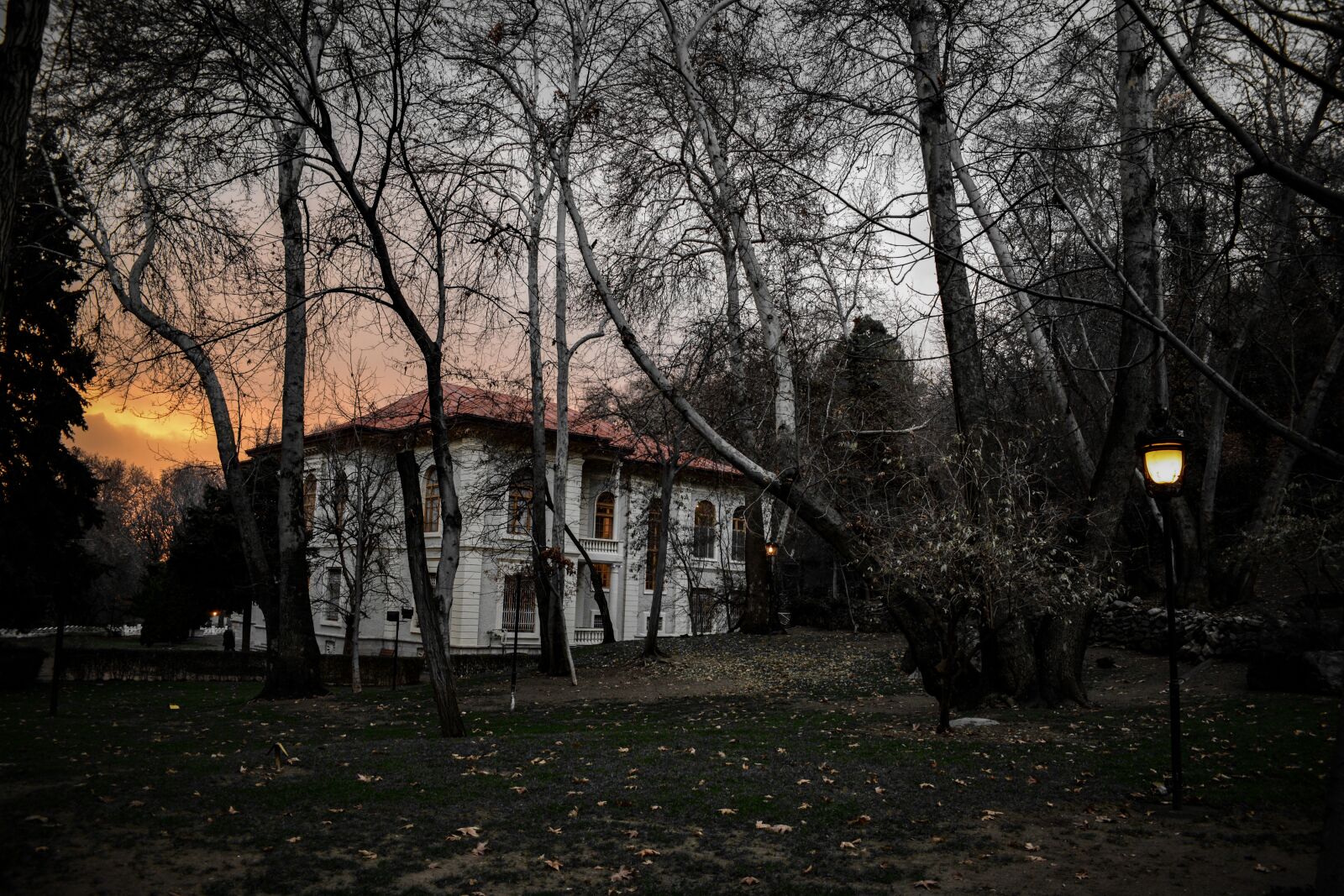 Nikon D5200 sample photo. Palace, houses, architecture photography