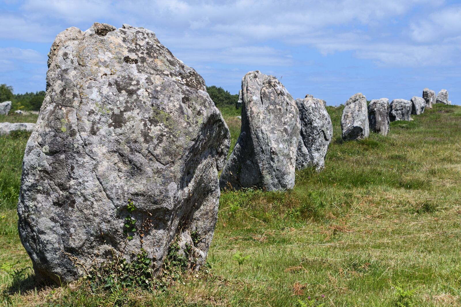 Nikon D500 sample photo. Menhir, pierre, carnac photography