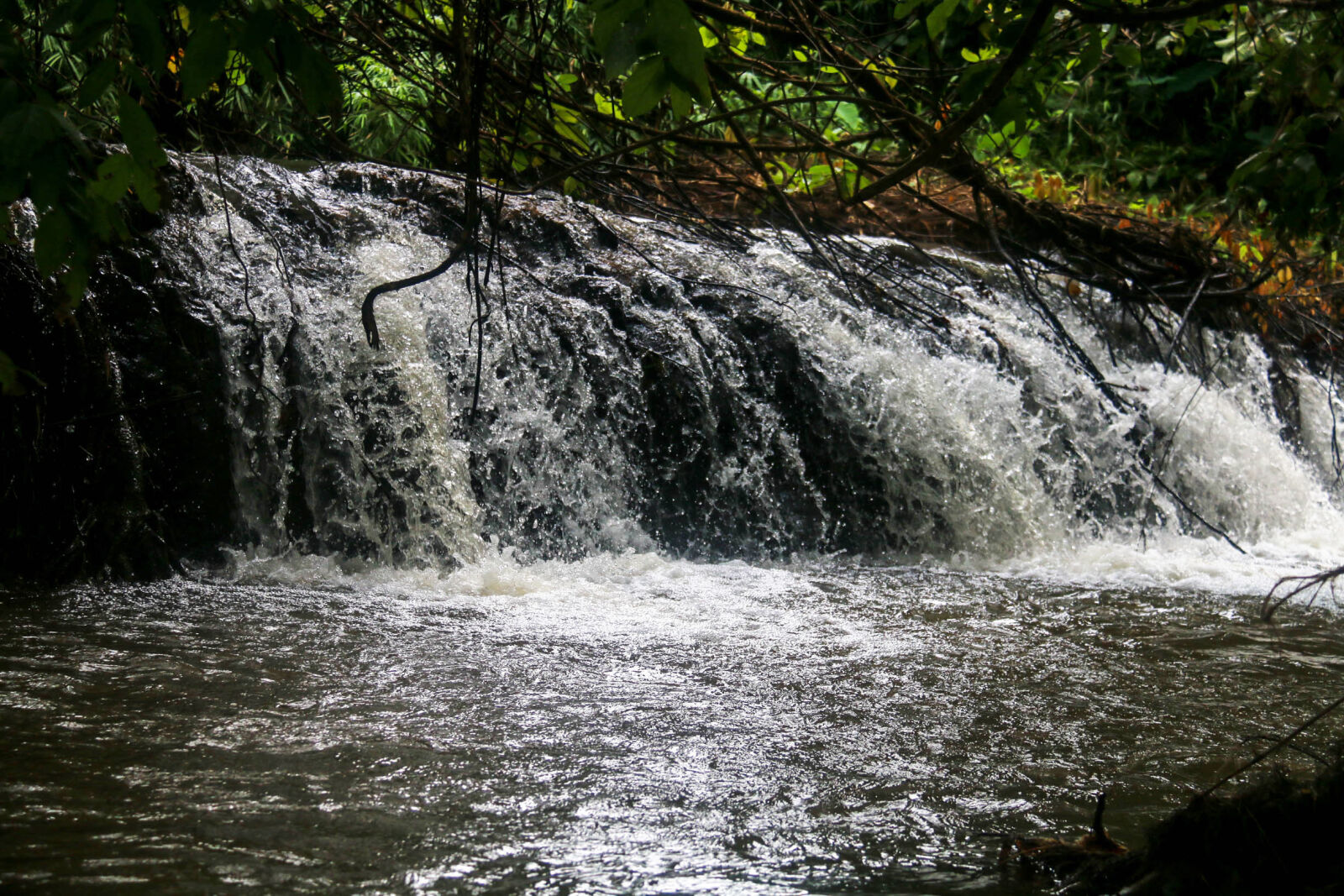 Canon EF-S 18-200mm F3.5-5.6 IS sample photo. Forest, nature, waterfall photography