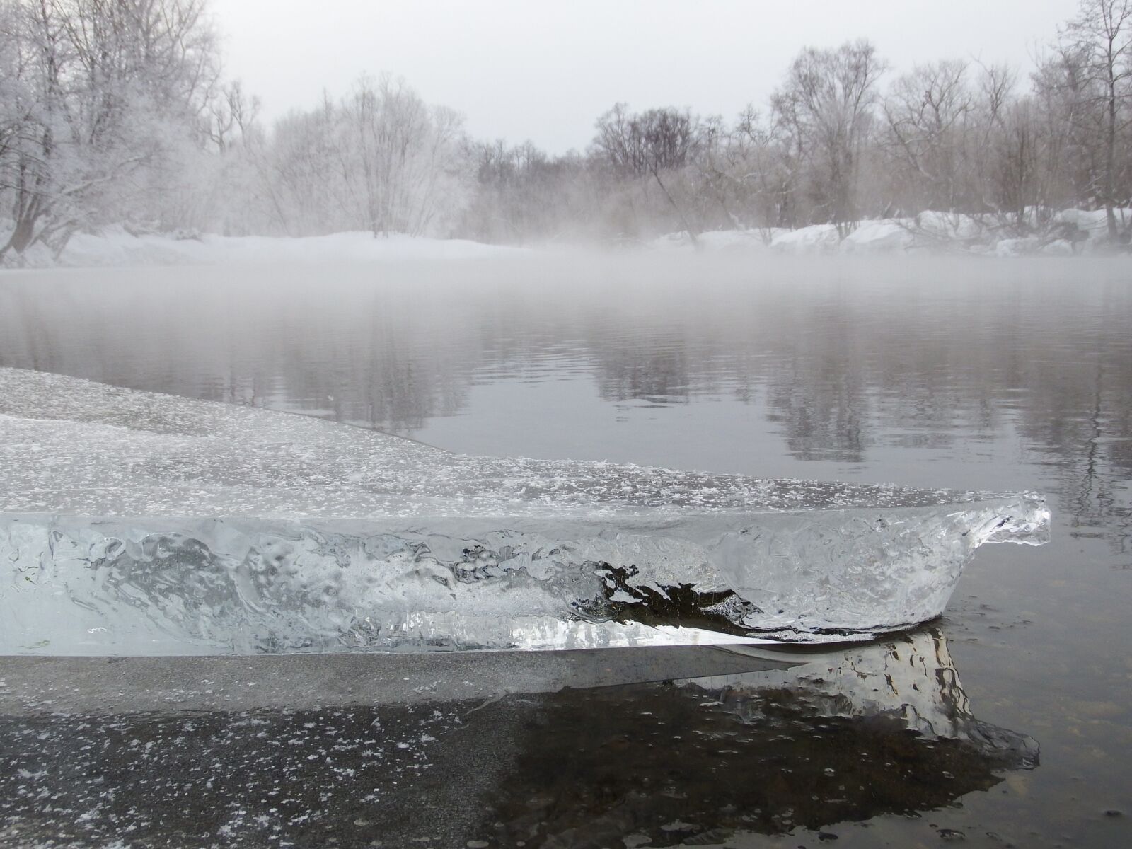 Fujifilm FinePix S1 sample photo. Winter, river, beach photography