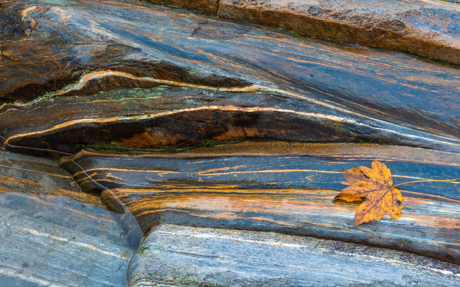 Nikon D800 sample photo. Rock, structures, stone photography