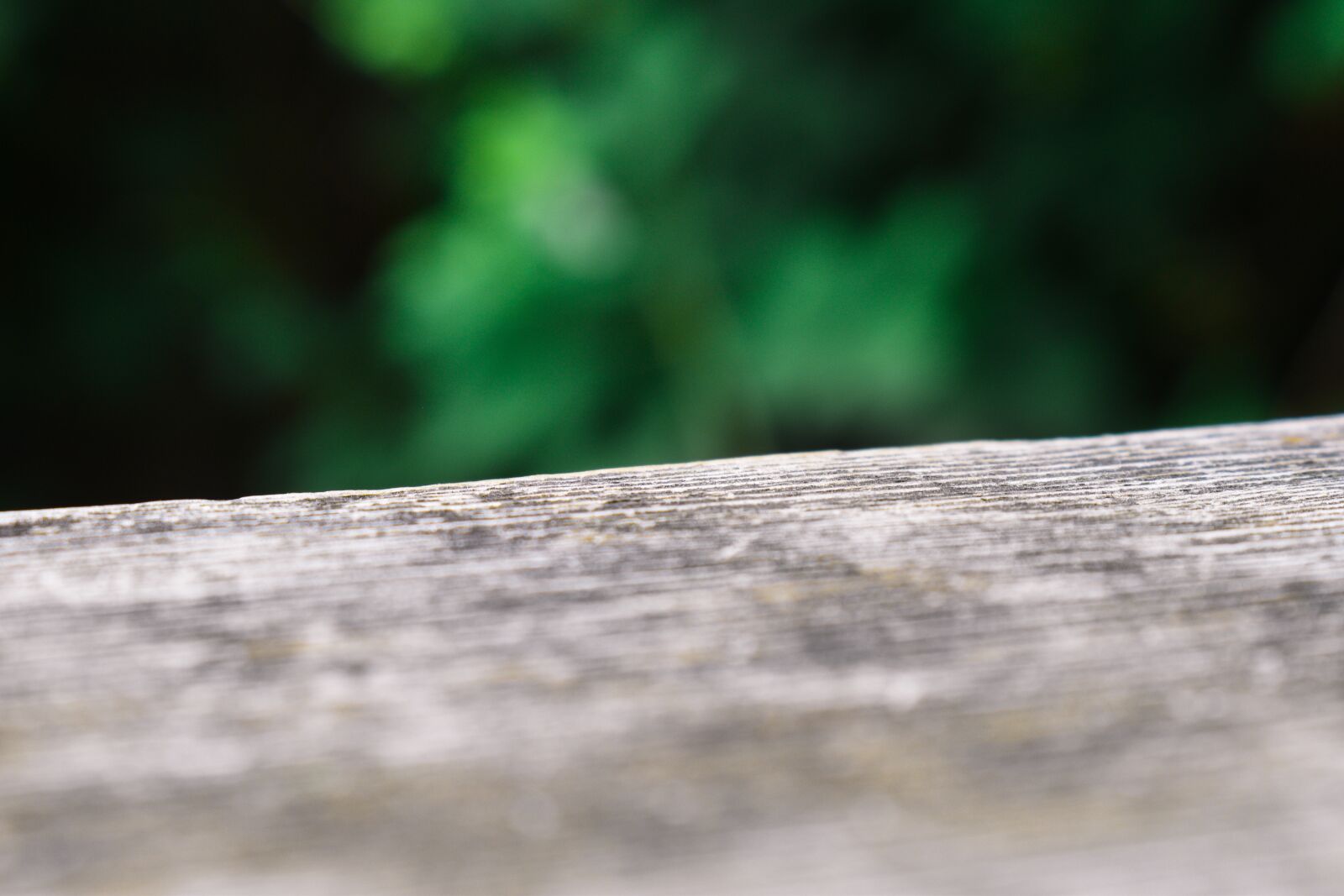 Nikon D5600 sample photo. Wood, edge, brown photography
