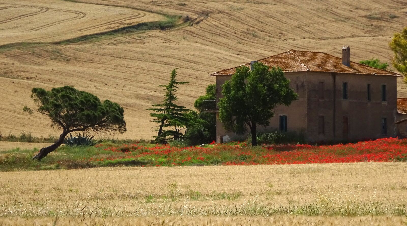 Sony Cyber-shot DSC-WX350 sample photo. Tuscany, italy, landscape photography