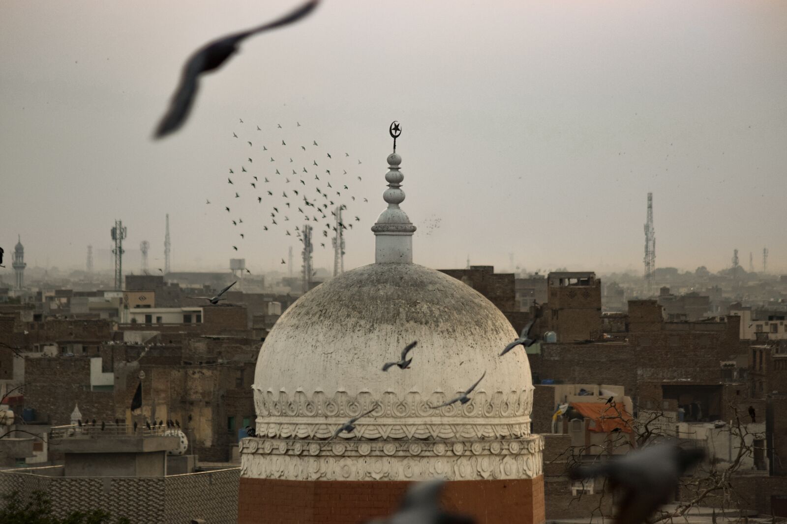 Nikon D3300 sample photo. Birds, pigeons, religion photography