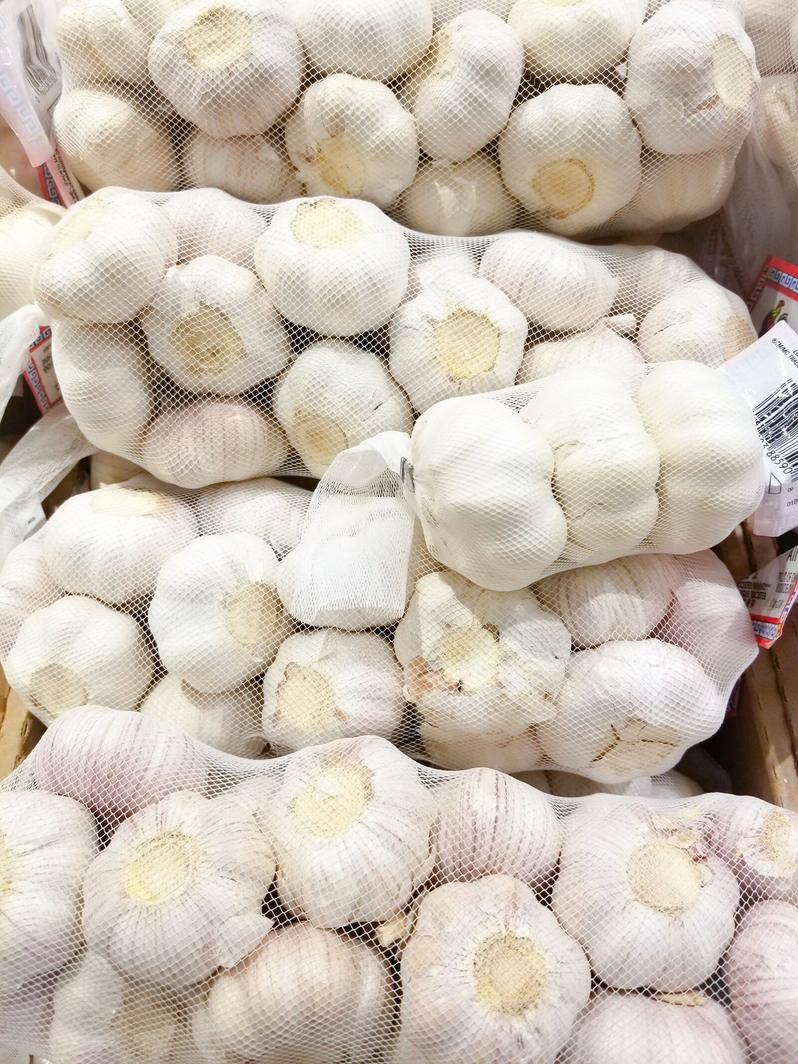Samsung Galaxy S8+ sample photo. Garlic, ingredient, spice photography