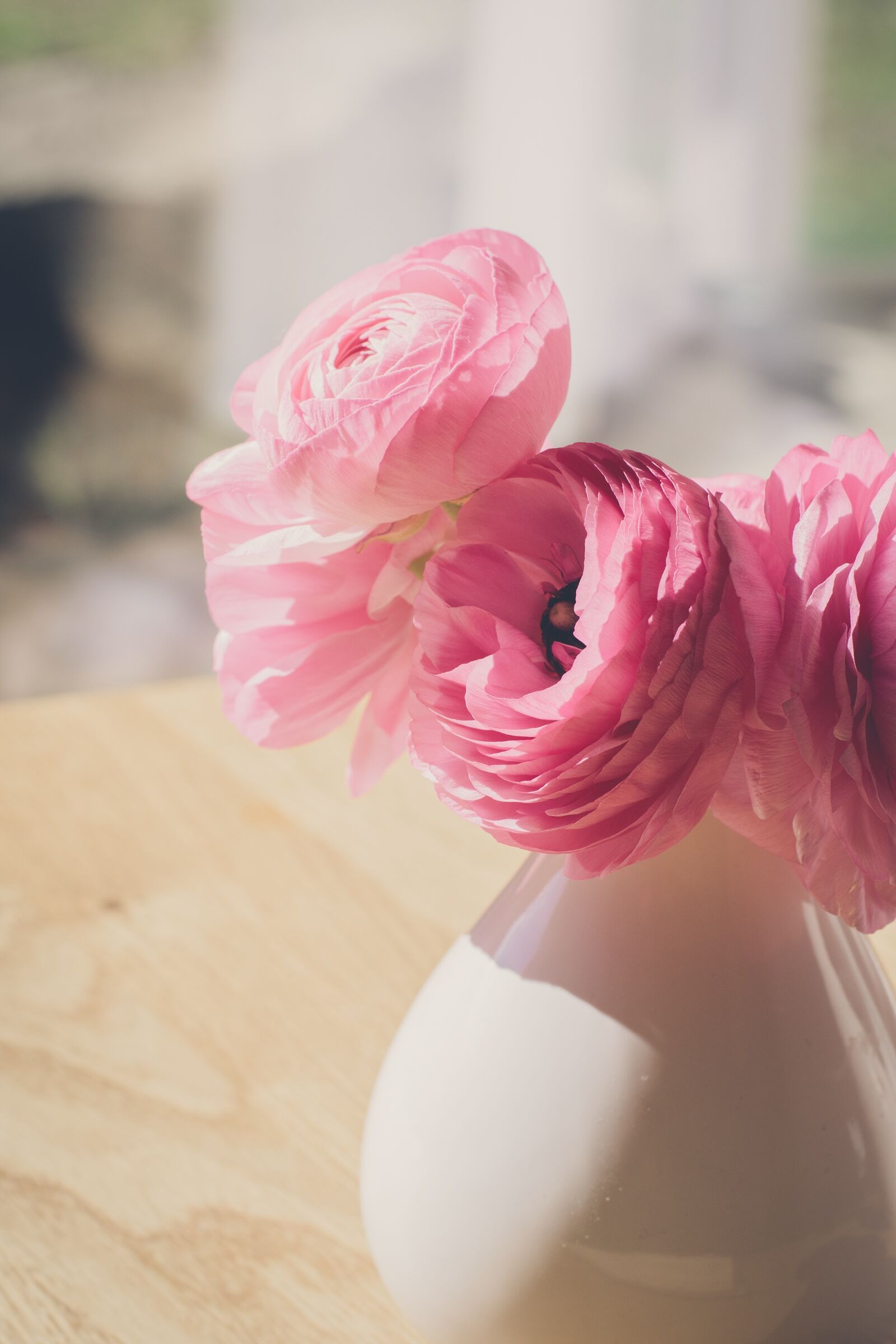 Nikon D7100 sample photo. Ranunkeln, pink, vase photography