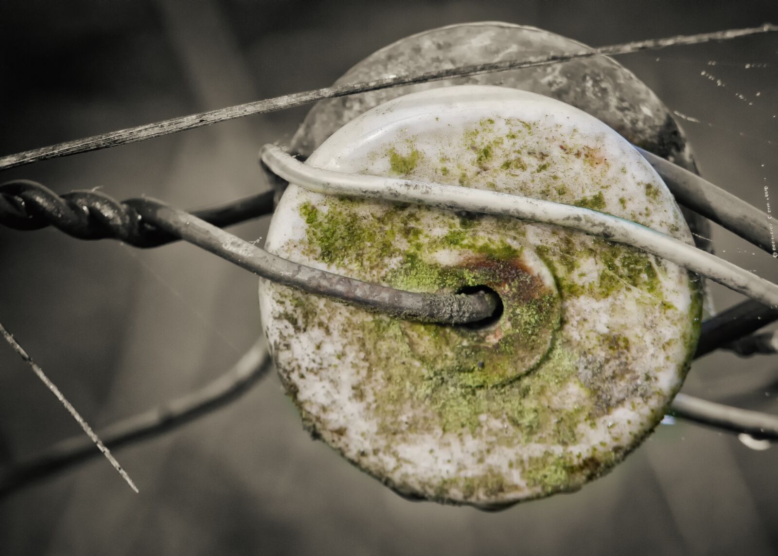 Canon EOS 50D sample photo. Insulator, wicker fence, old photography
