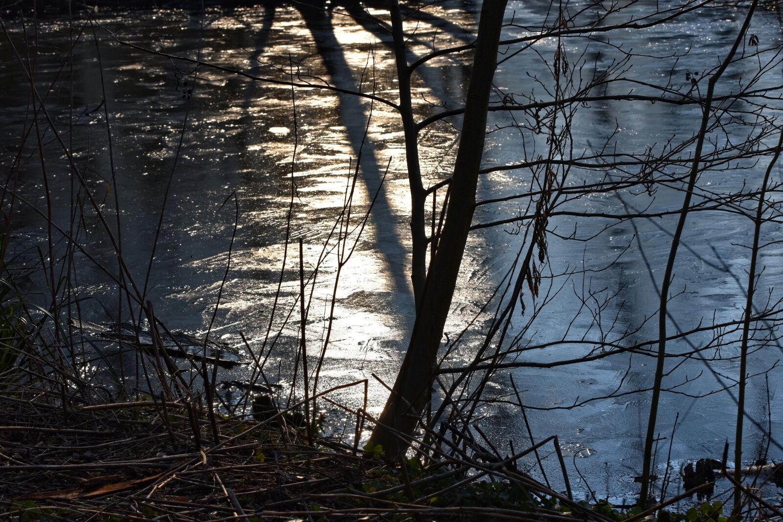 Nikon D750 sample photo. Ice, water, frozen photography