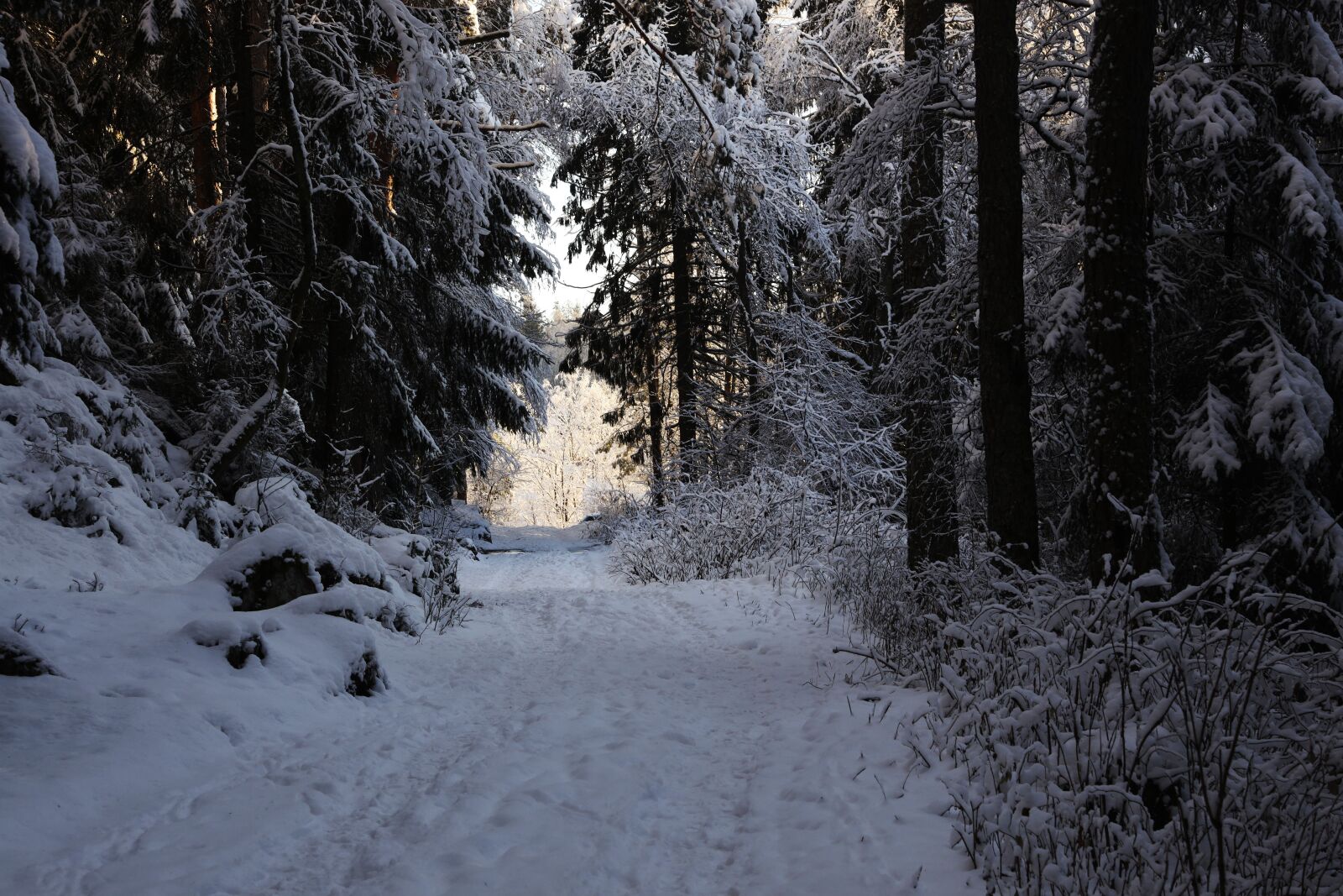 Canon EOS R + Canon EF 24-70mm F2.8L II USM sample photo. Winter, landscape, snow photography