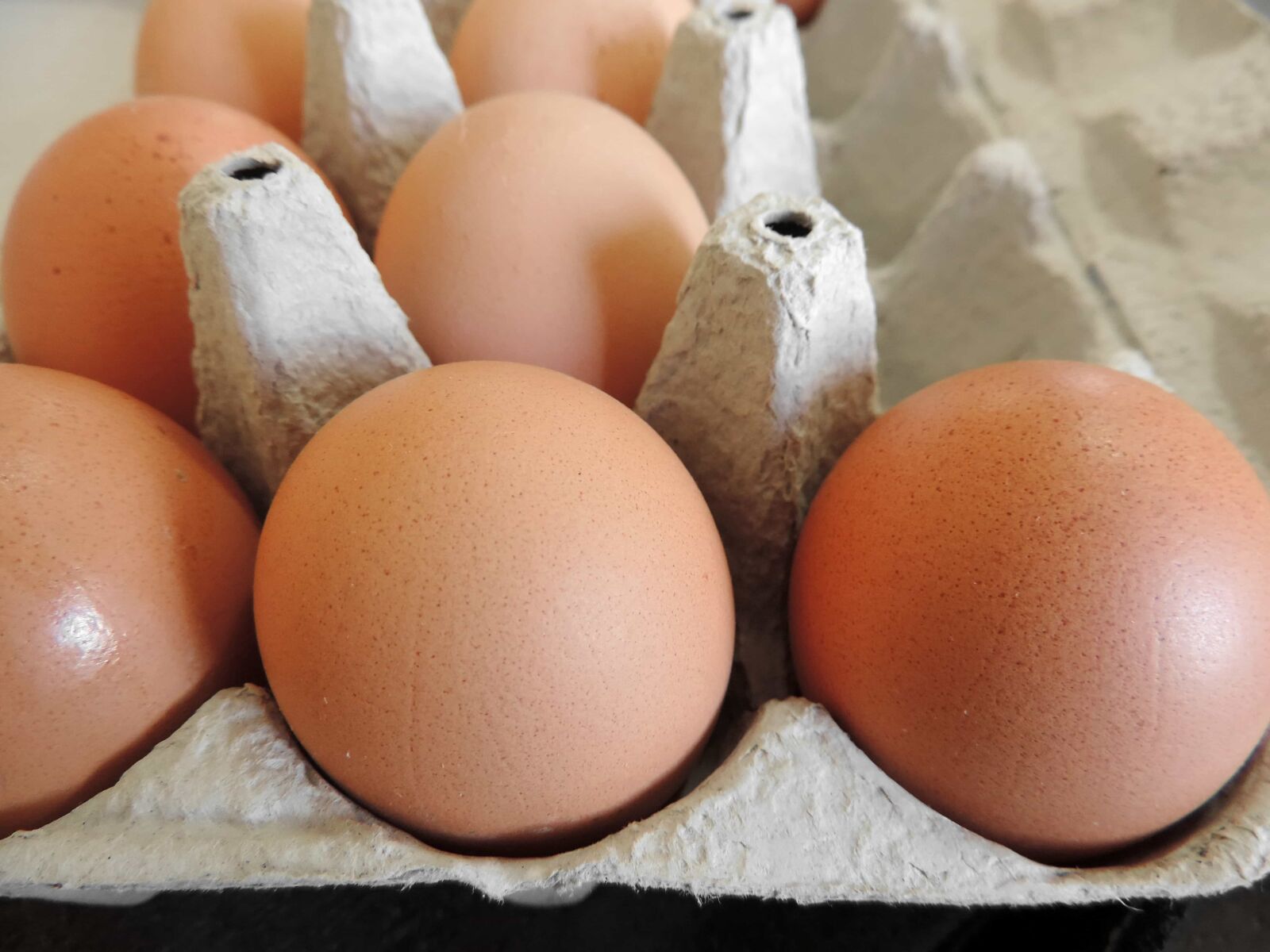 Nikon Coolpix P520 sample photo. Eggshell, shell, poultry, egg photography